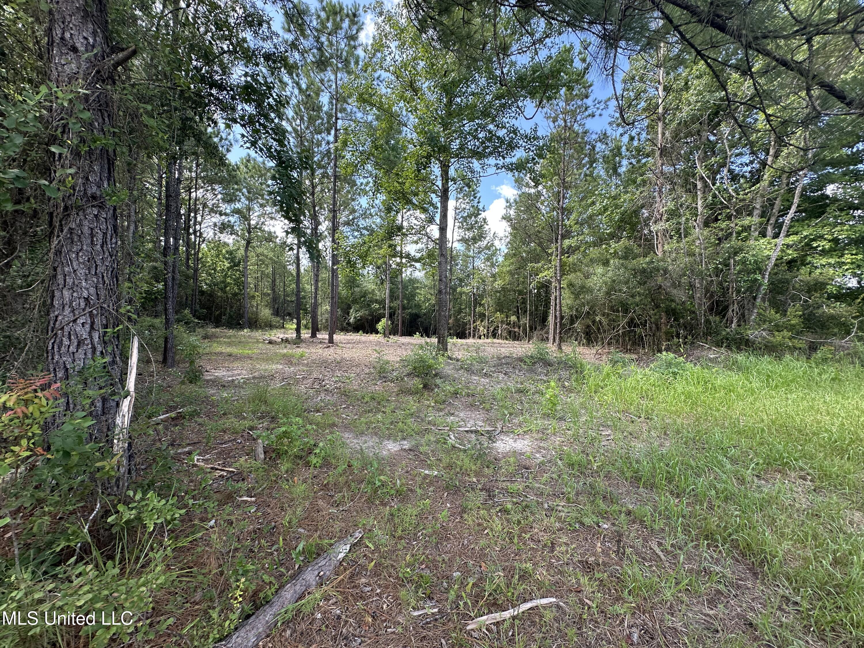17141 Hillcrest Ridge Drive Property Photo 5