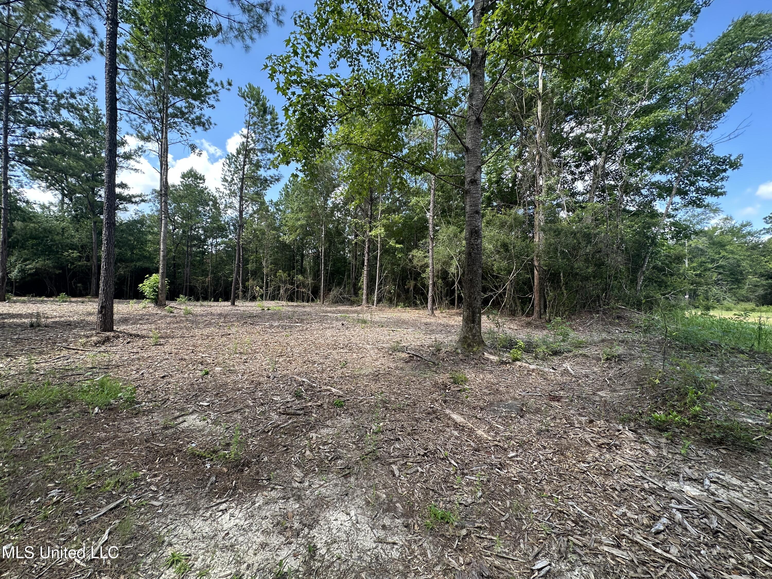 17141 Hillcrest Ridge Drive Property Photo 6