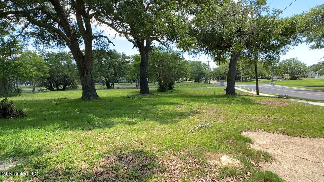 Washington Avenue Property Photo 3