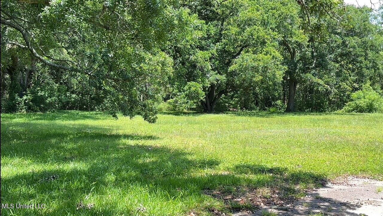 Washington Avenue Property Photo 5
