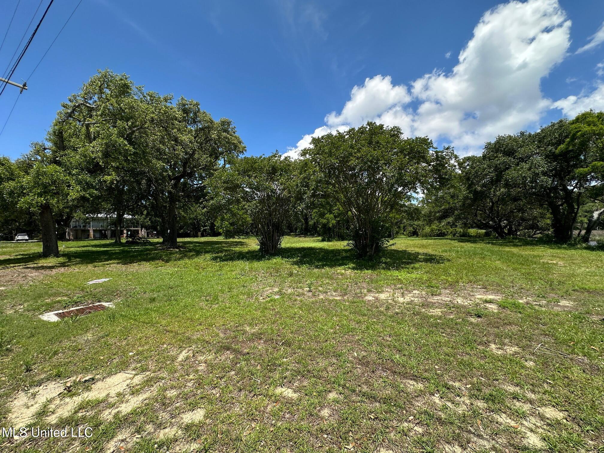 Washington Avenue Property Photo 12
