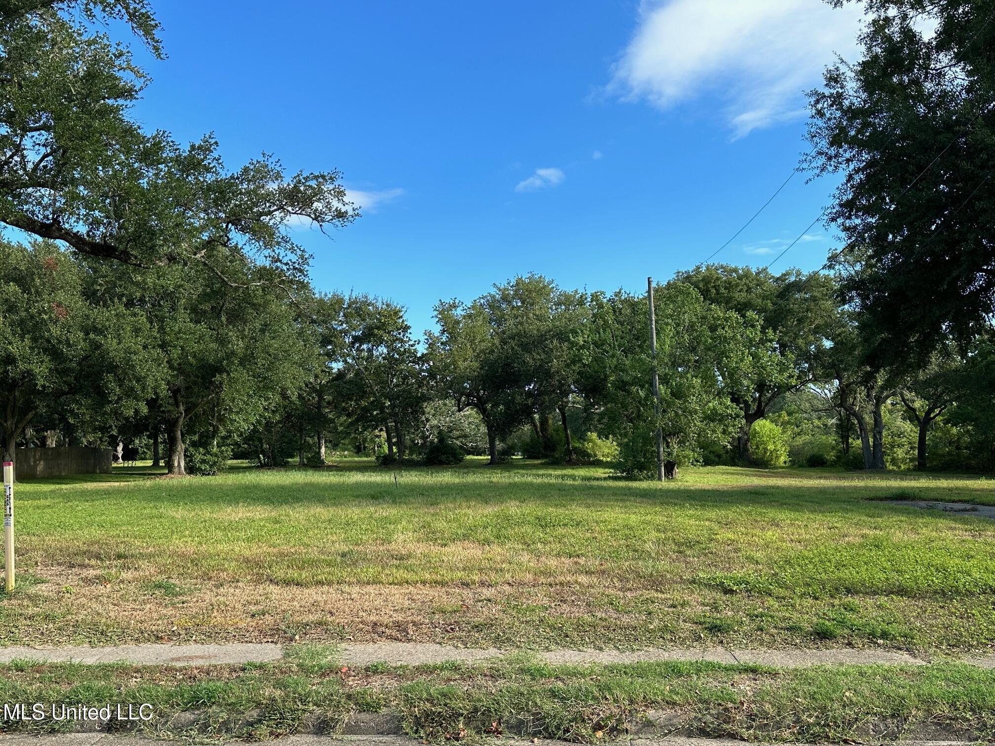 Washington Avenue Property Photo 17