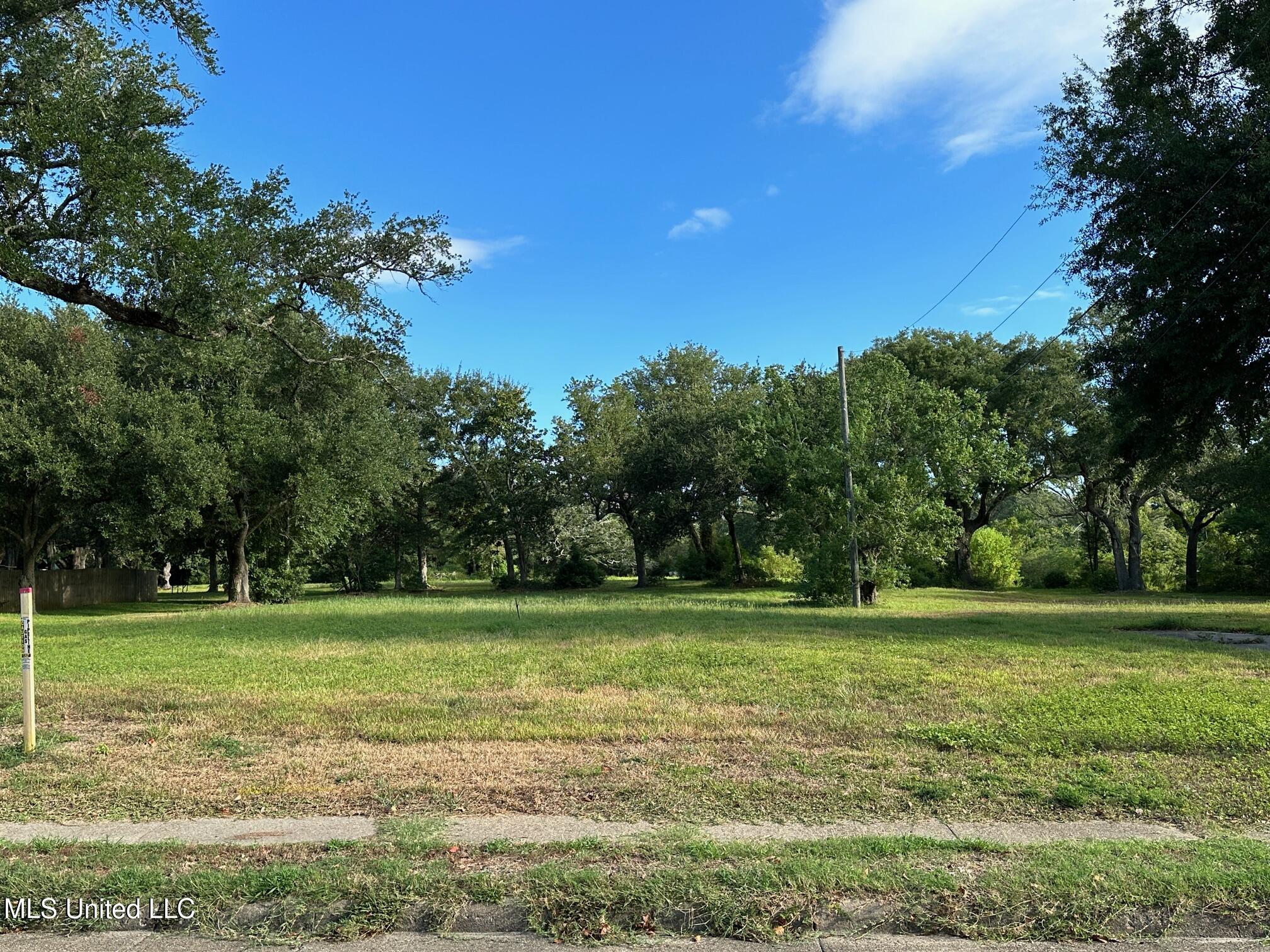 Washington Avenue Property Photo 18