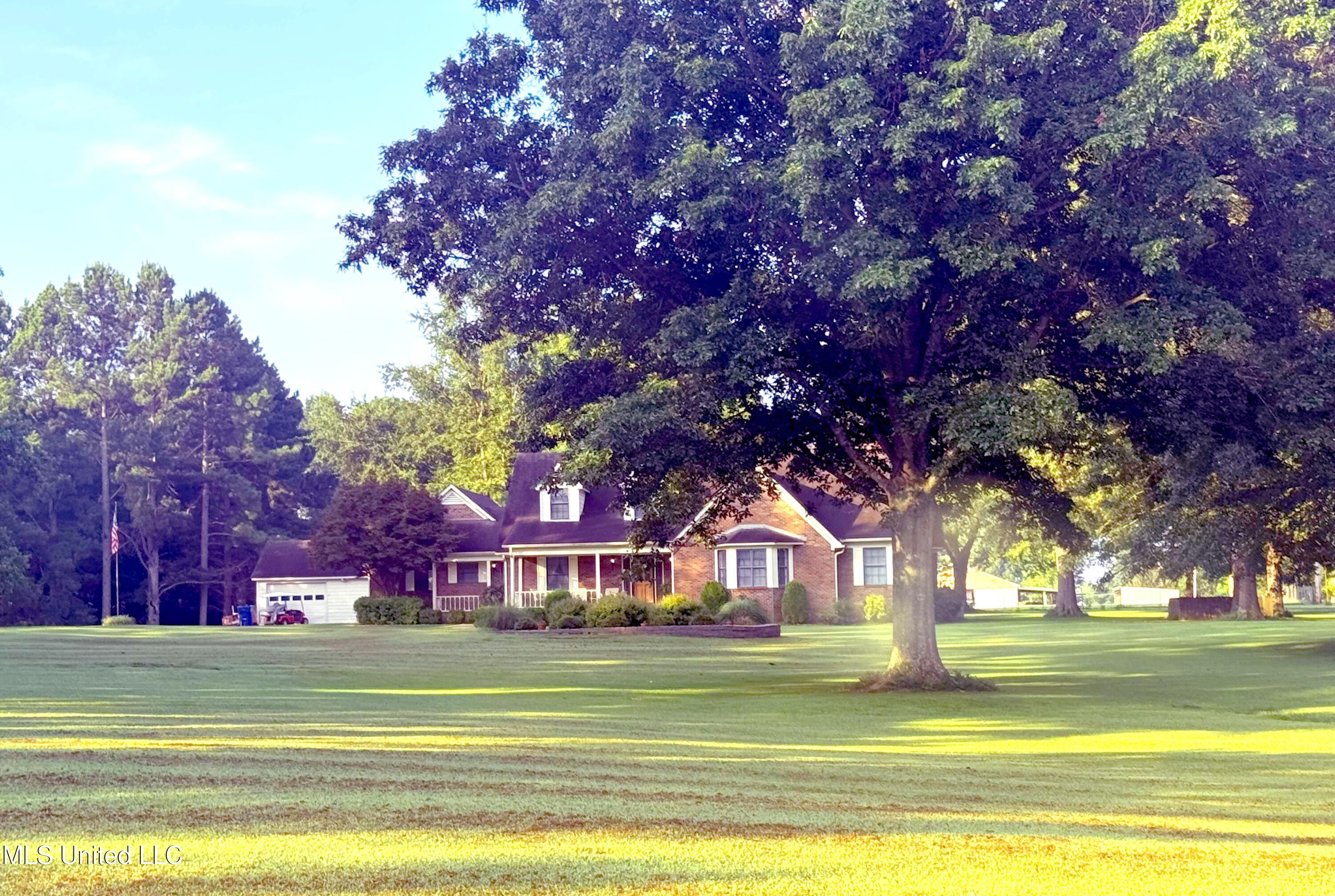 11595 Green Pine Drive Property Photo 1