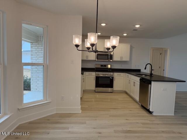 103 Red Bird Cove Property Photo 8