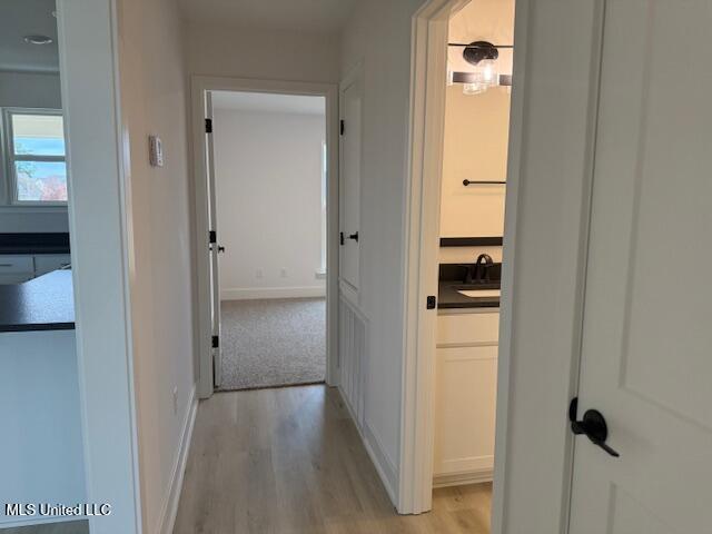 103 Red Bird Cove Property Photo 26