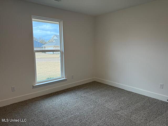 103 Red Bird Cove Property Photo 28