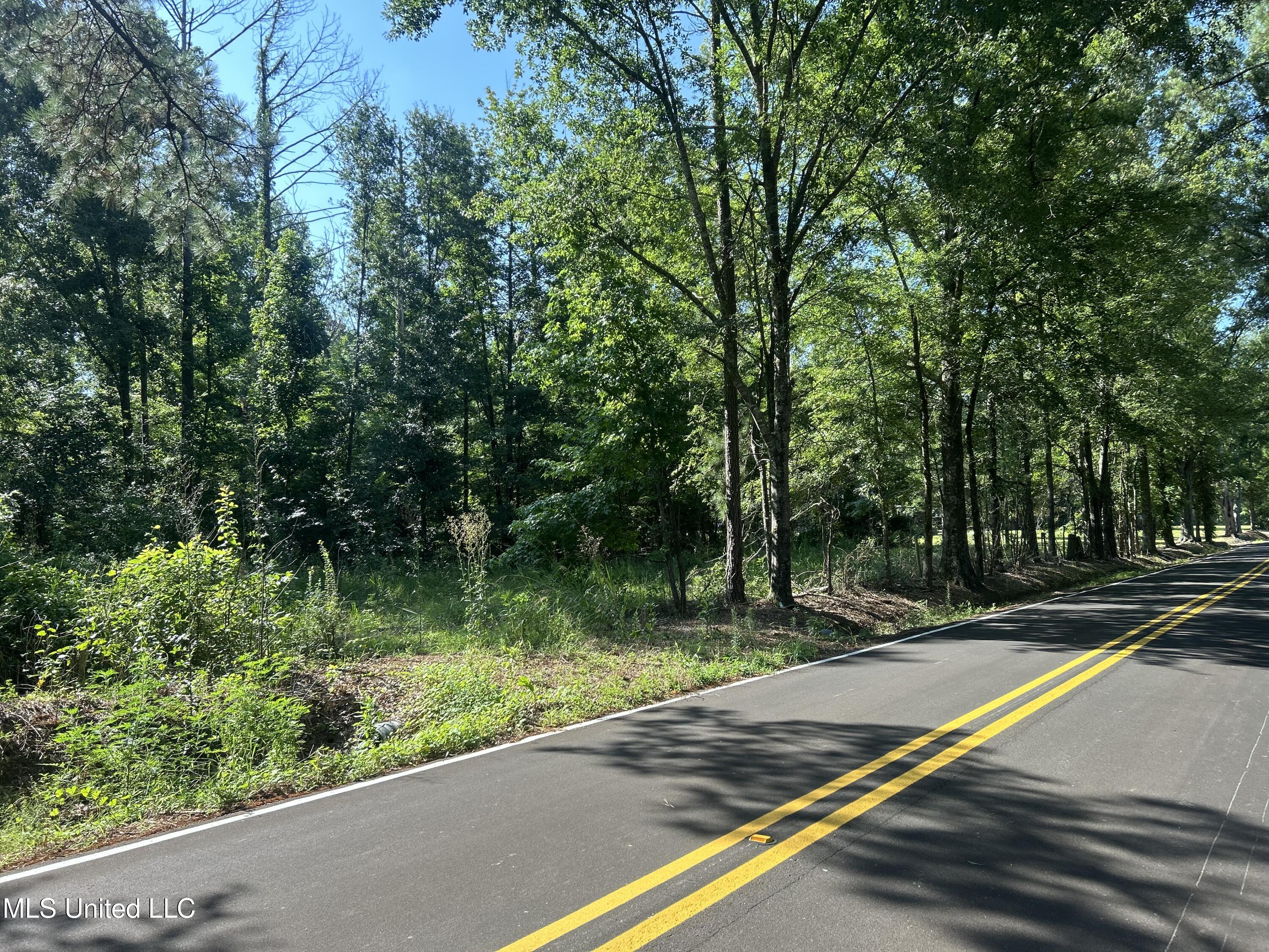 Stump Ridge Road Property Photo 3