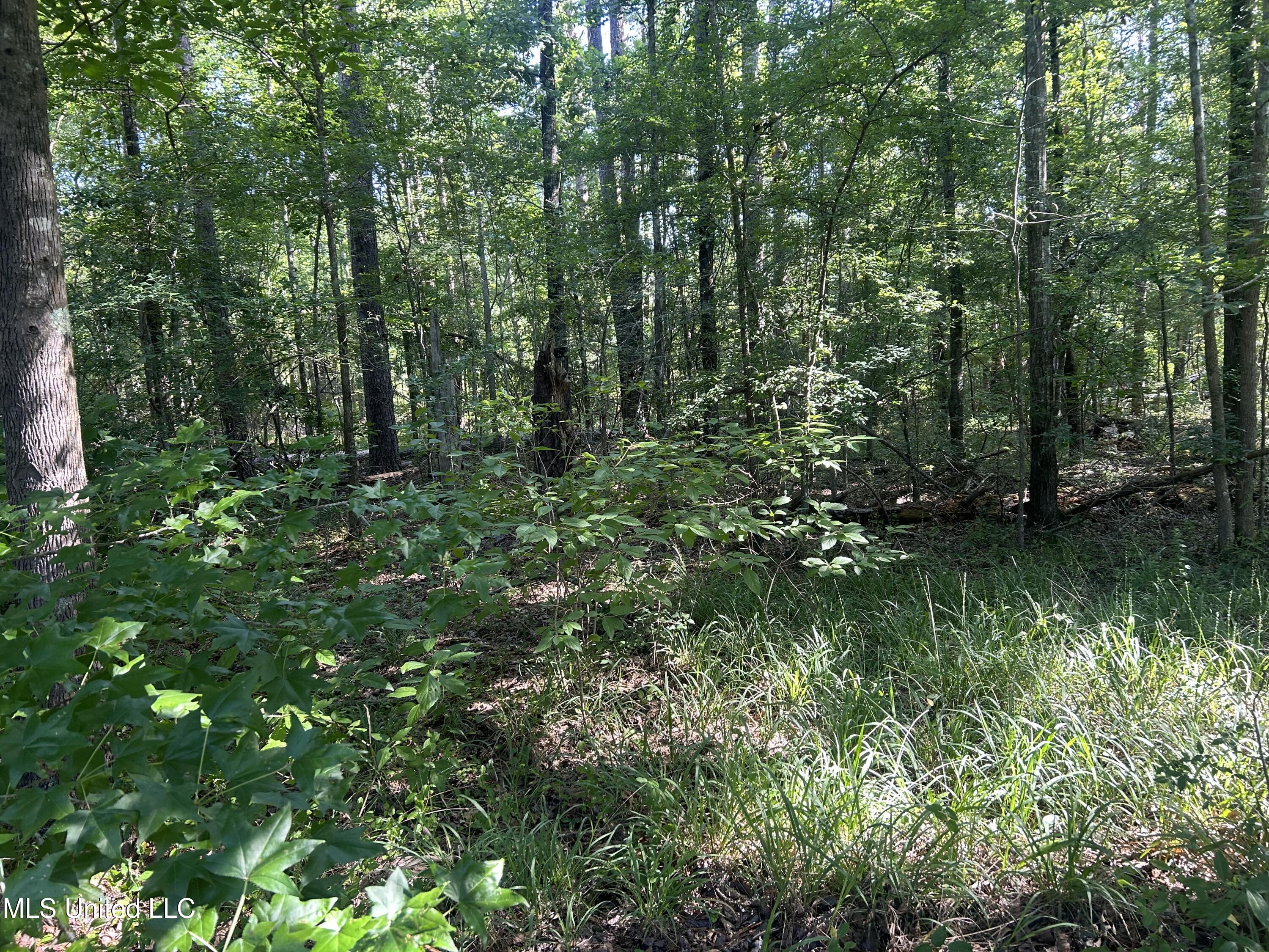 Stump Ridge Road Property Photo 4