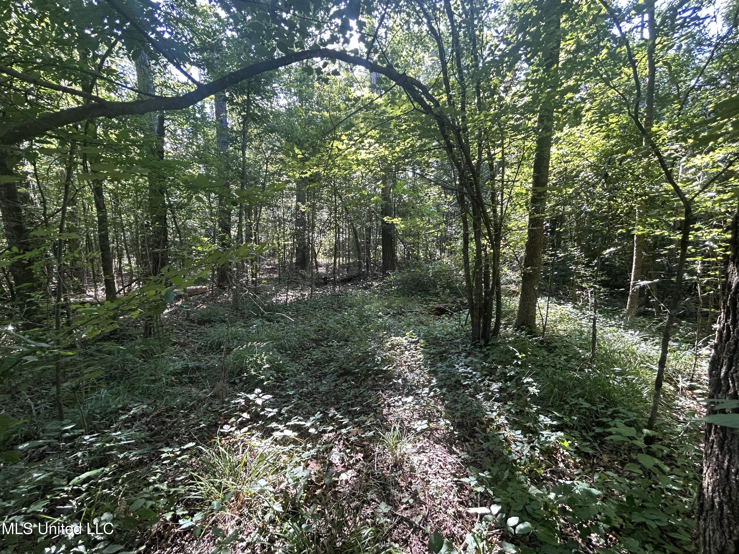 Stump Ridge Road Property Photo 5