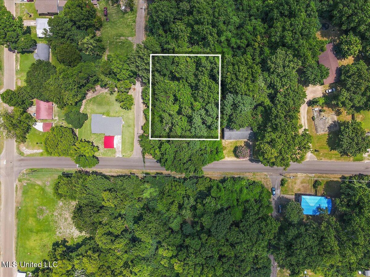 Bennett Street Property Photo 2