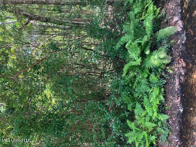 No Cullens Street Property Photo 1