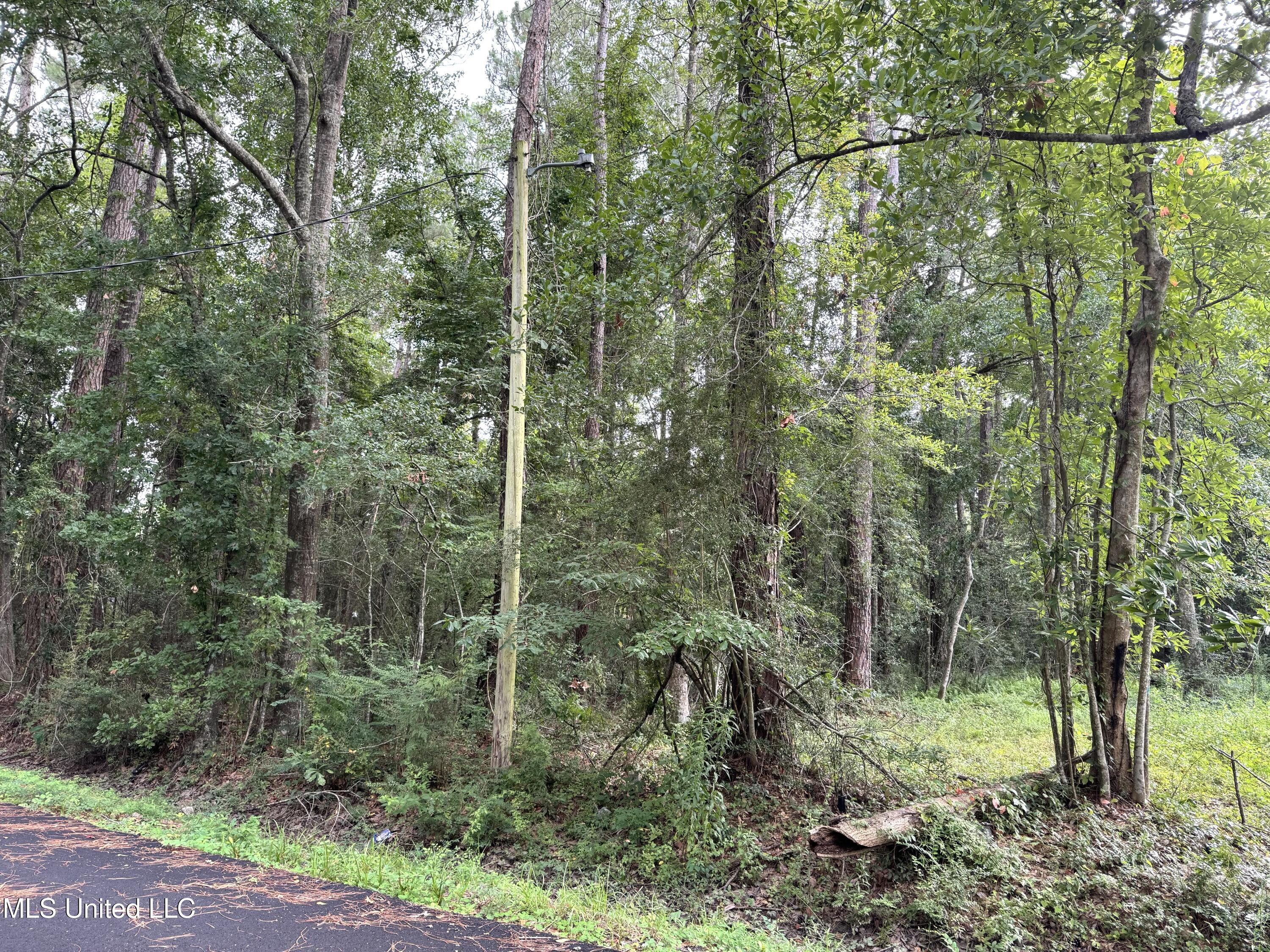 - River Music Drive Property Photo 1
