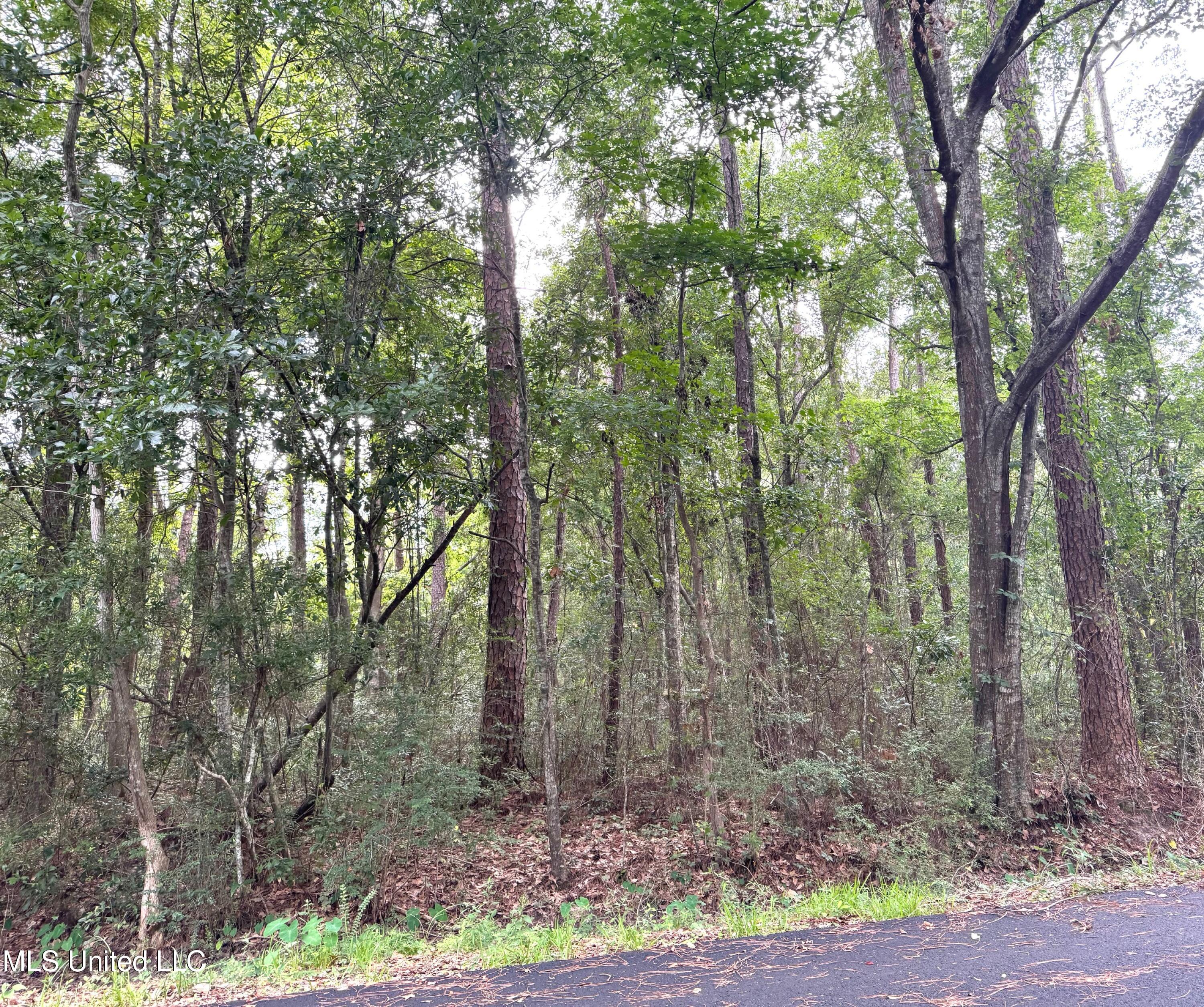 - River Music Drive Property Photo 2
