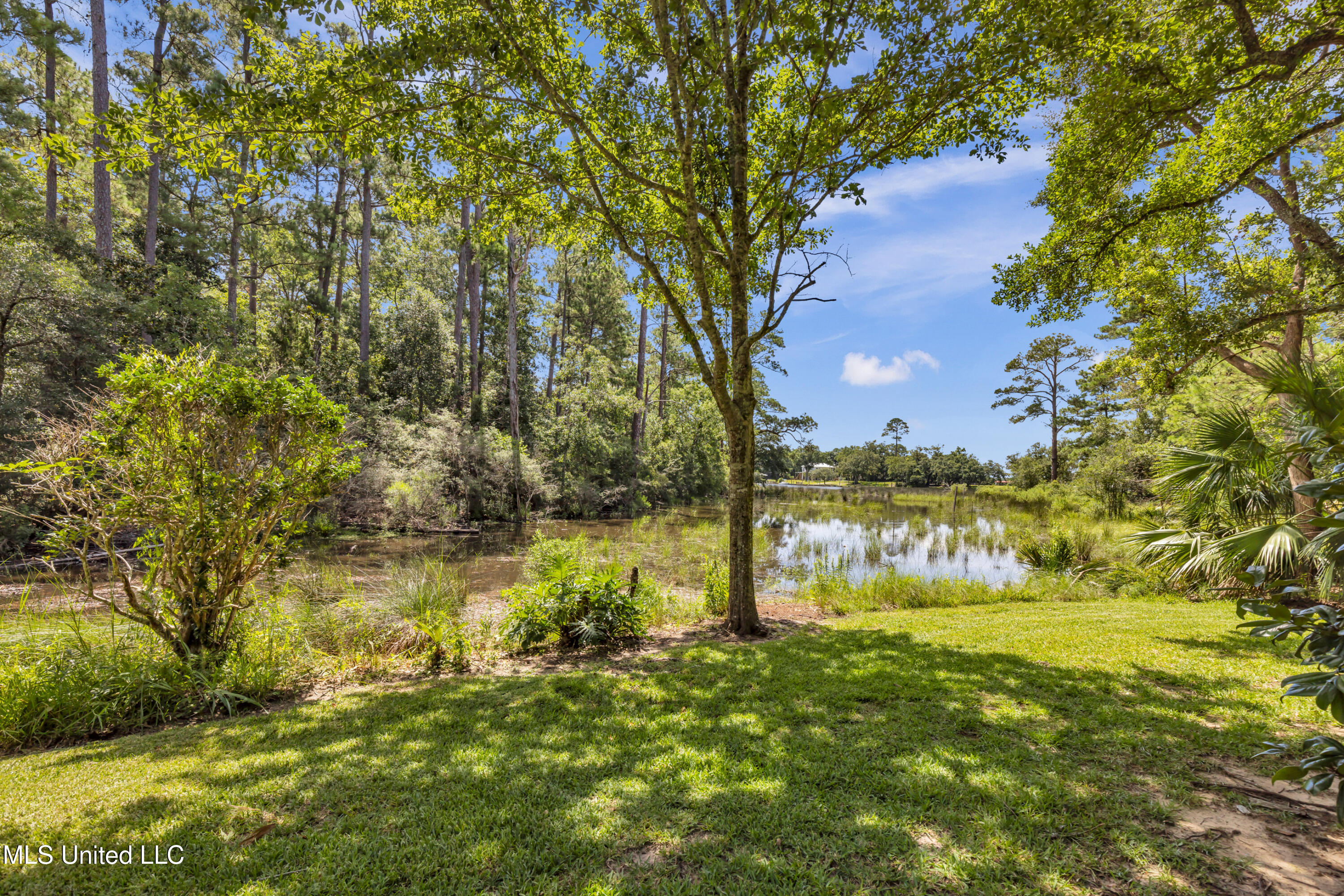 6022 Monticilla Circle Property Photo 54