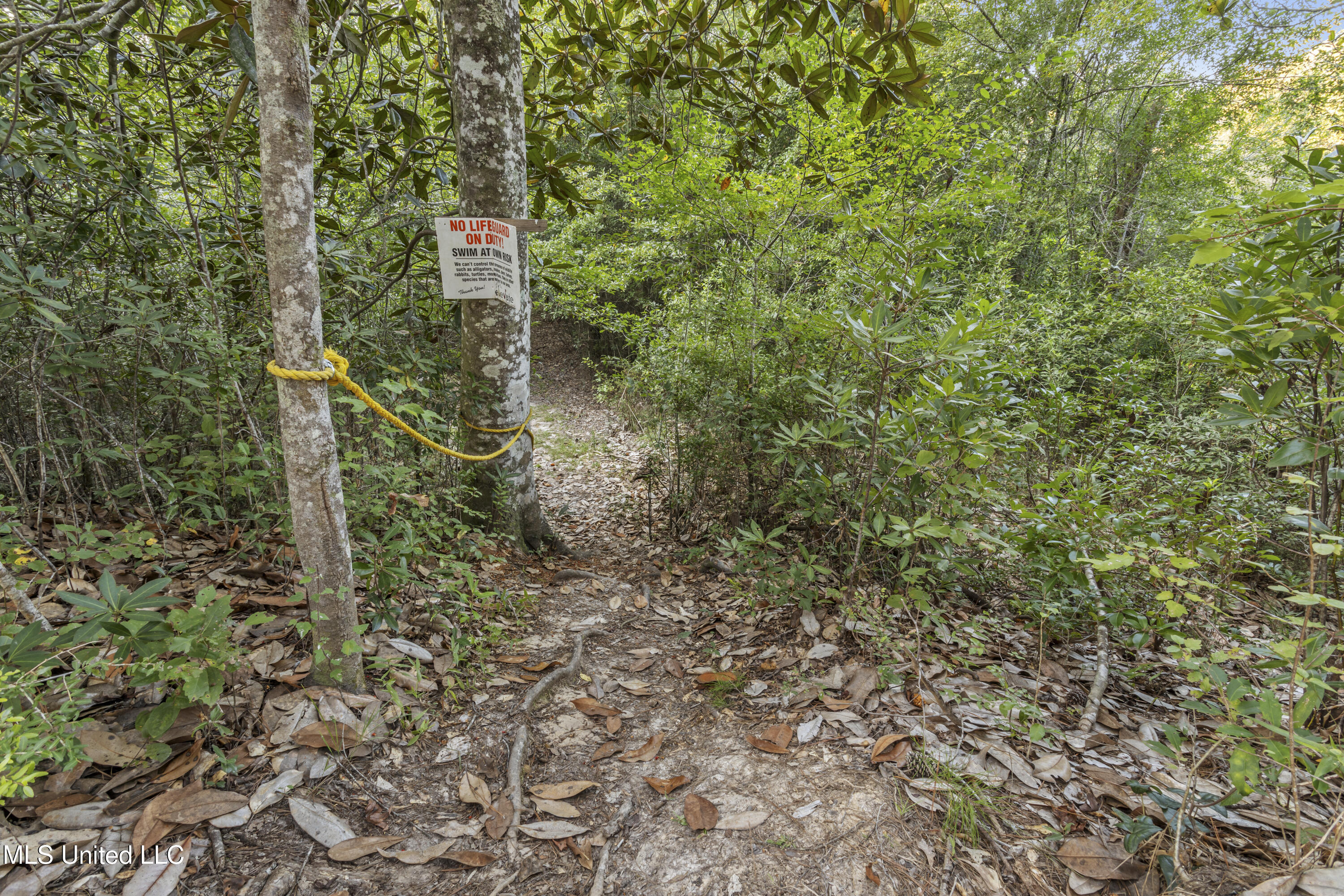 5106 Vestry Road Property Photo 28