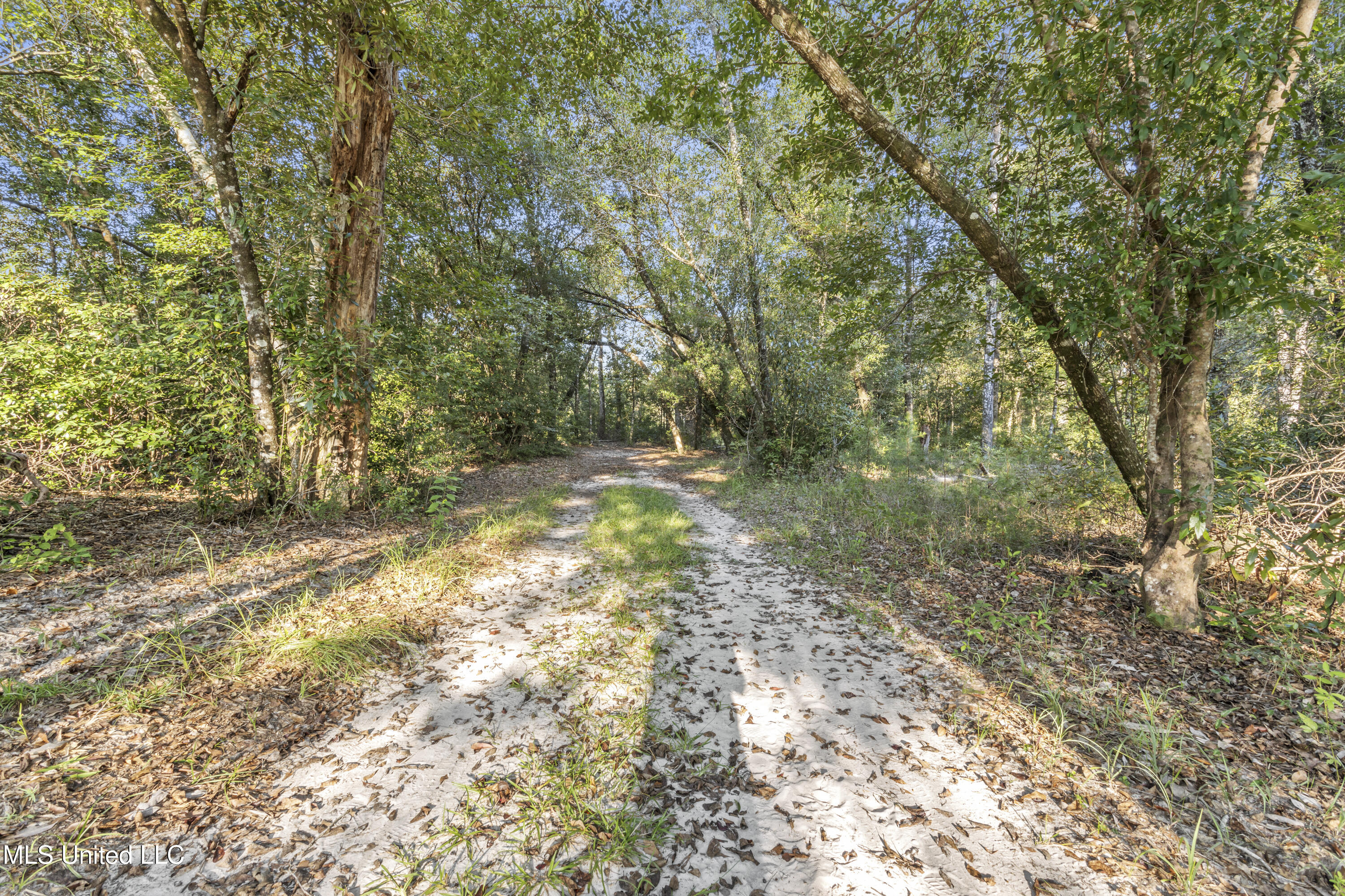 5106 Vestry Road Property Photo 31