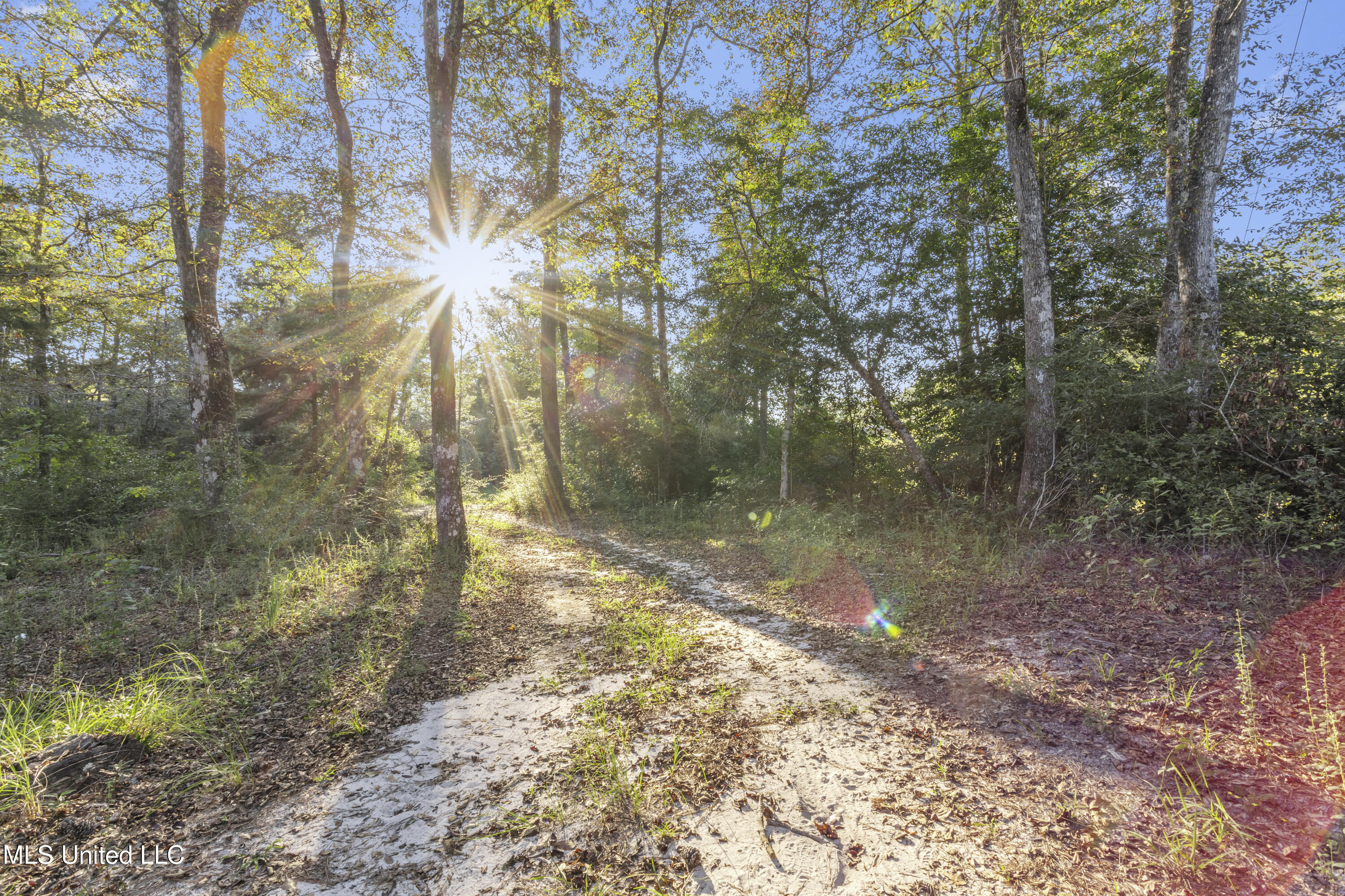 5106 Vestry Road Property Photo 33