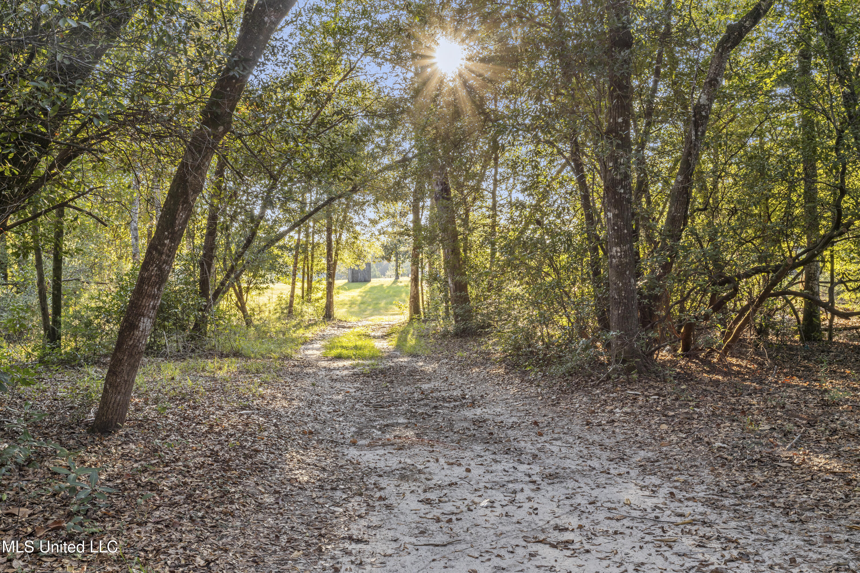5106 Vestry Road Property Photo 39