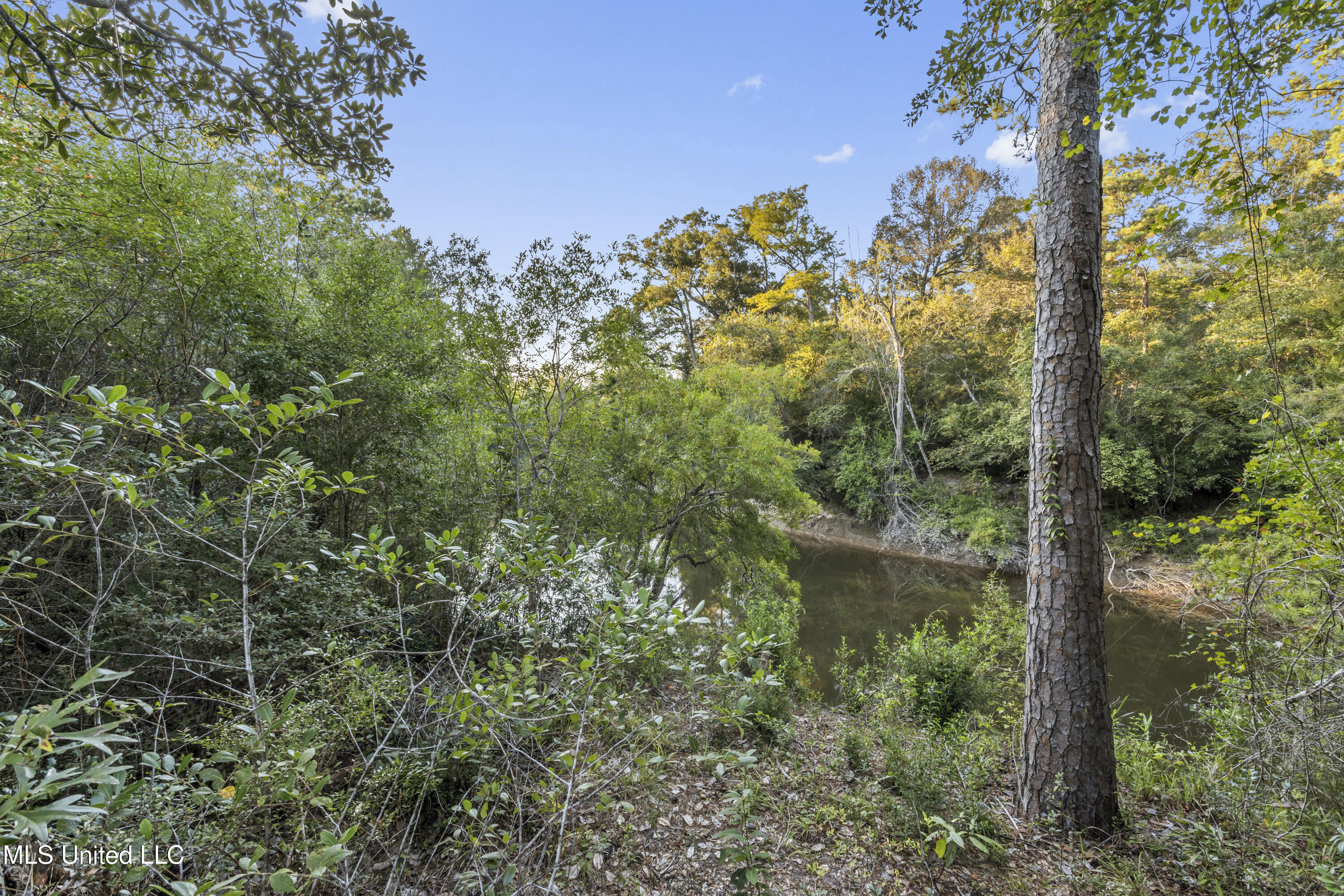 5106 Vestry Road Property Photo 67