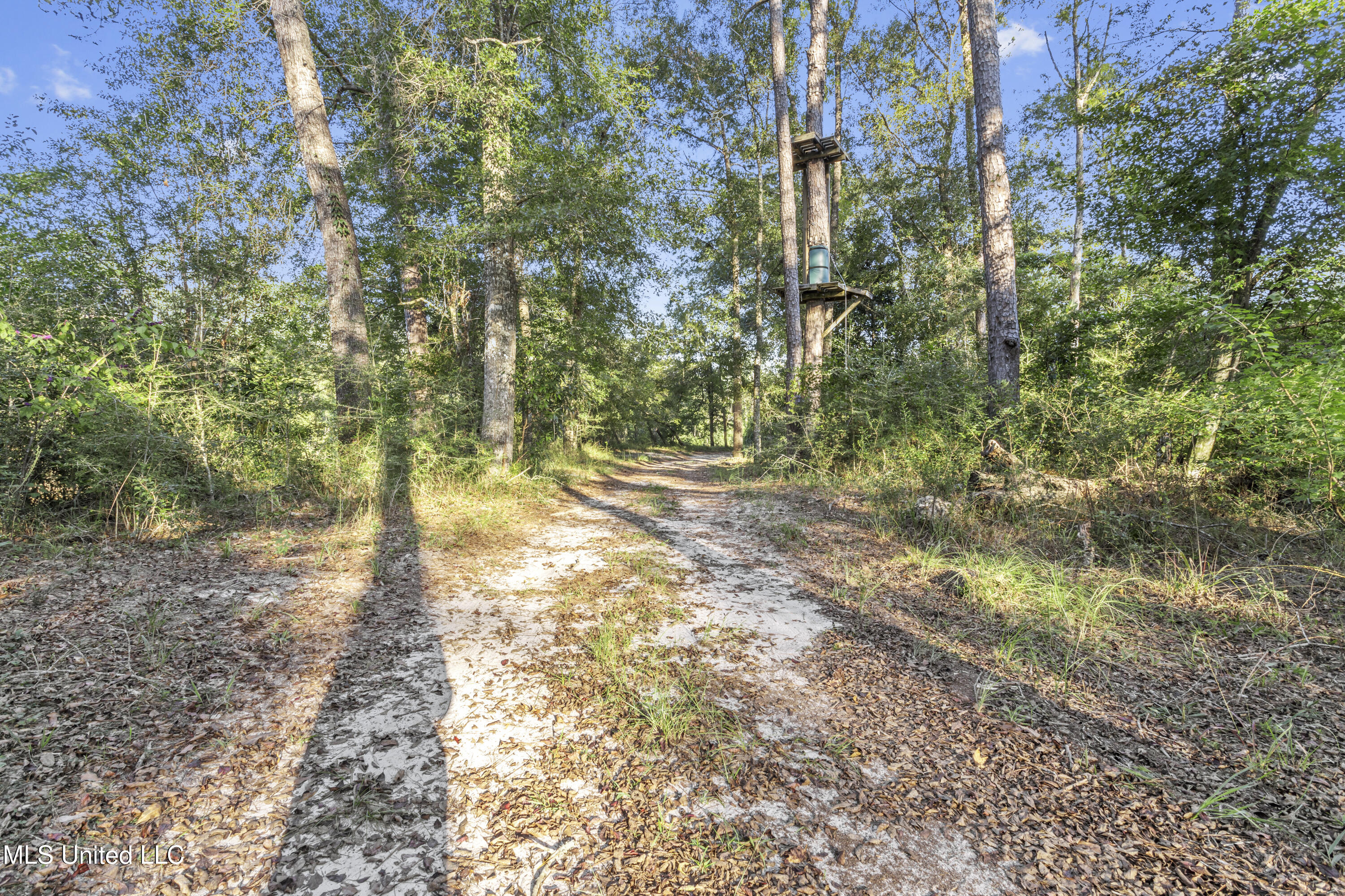 5106 Vestry Road Property Photo 81