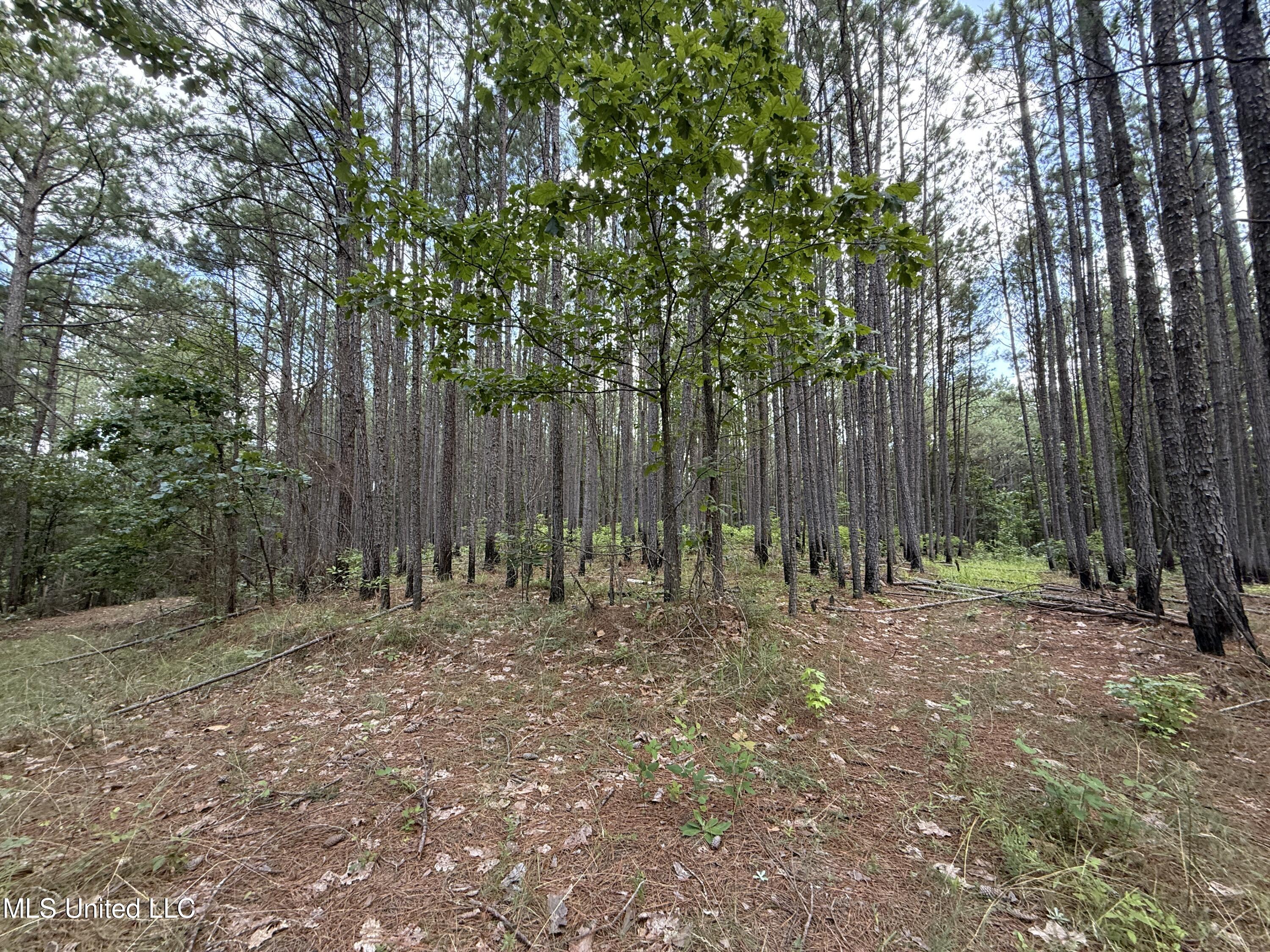 County Road 5204 Property Photo 1