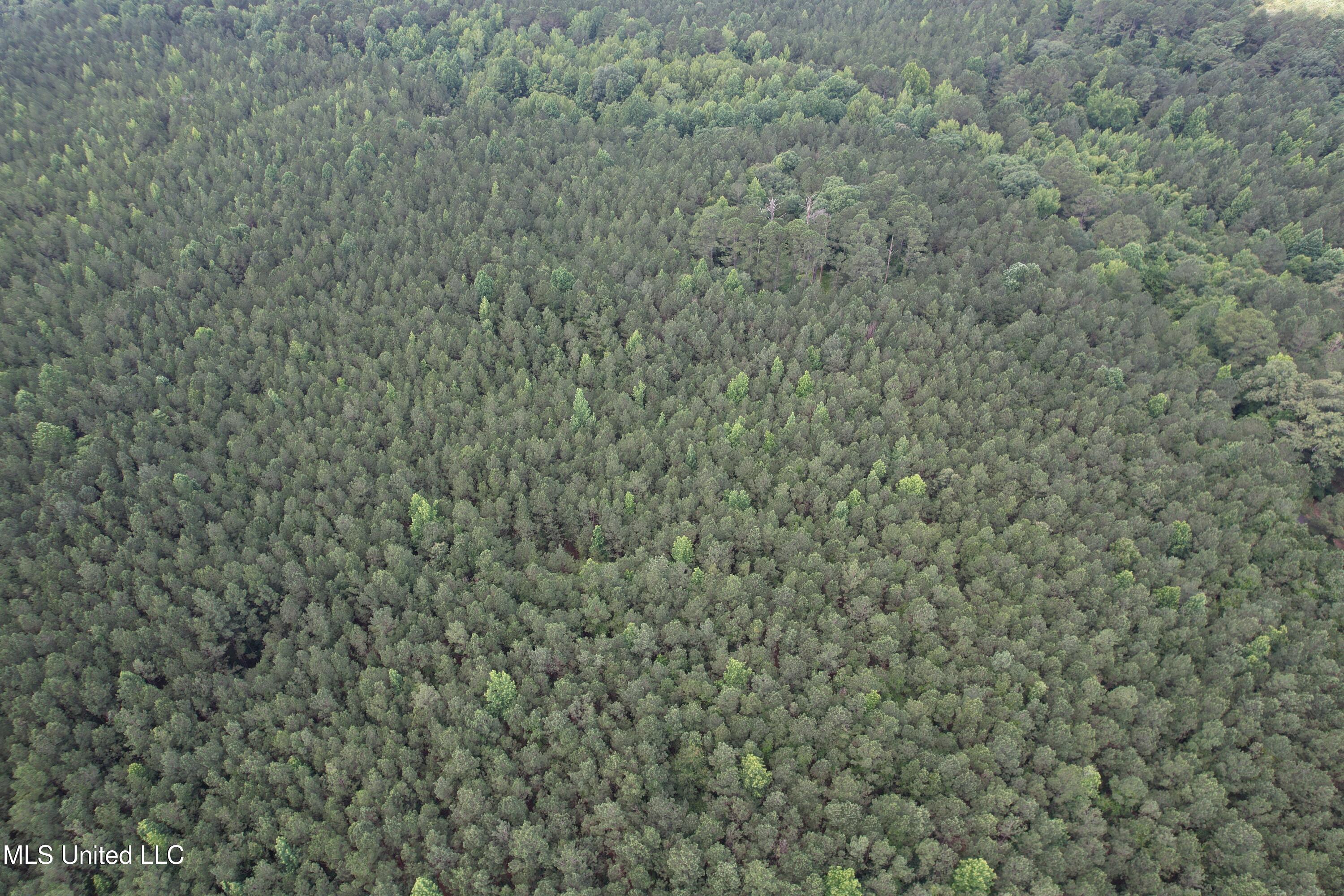 County Road 5204 Property Photo 2