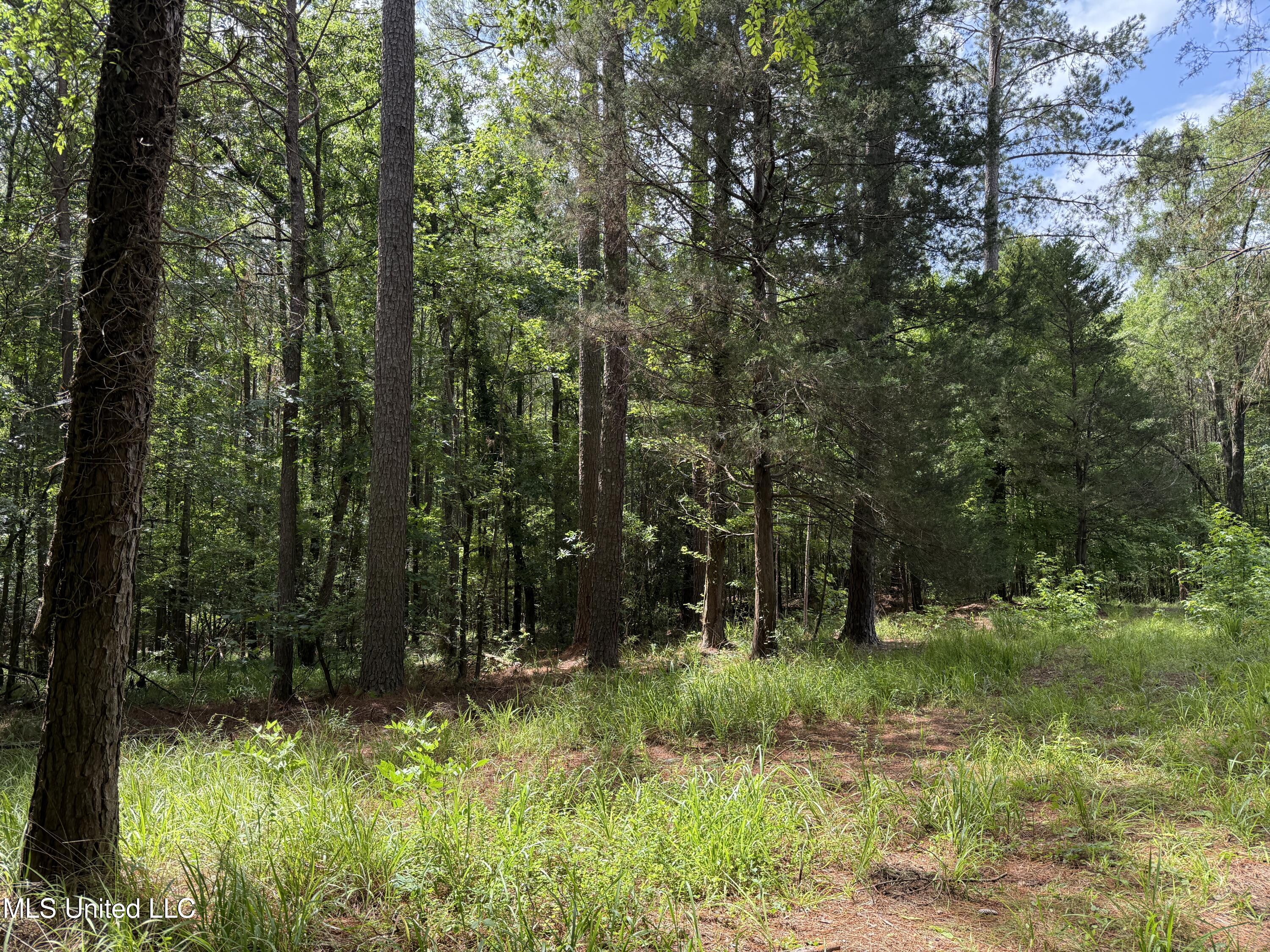 County Road 5204 Property Photo 4