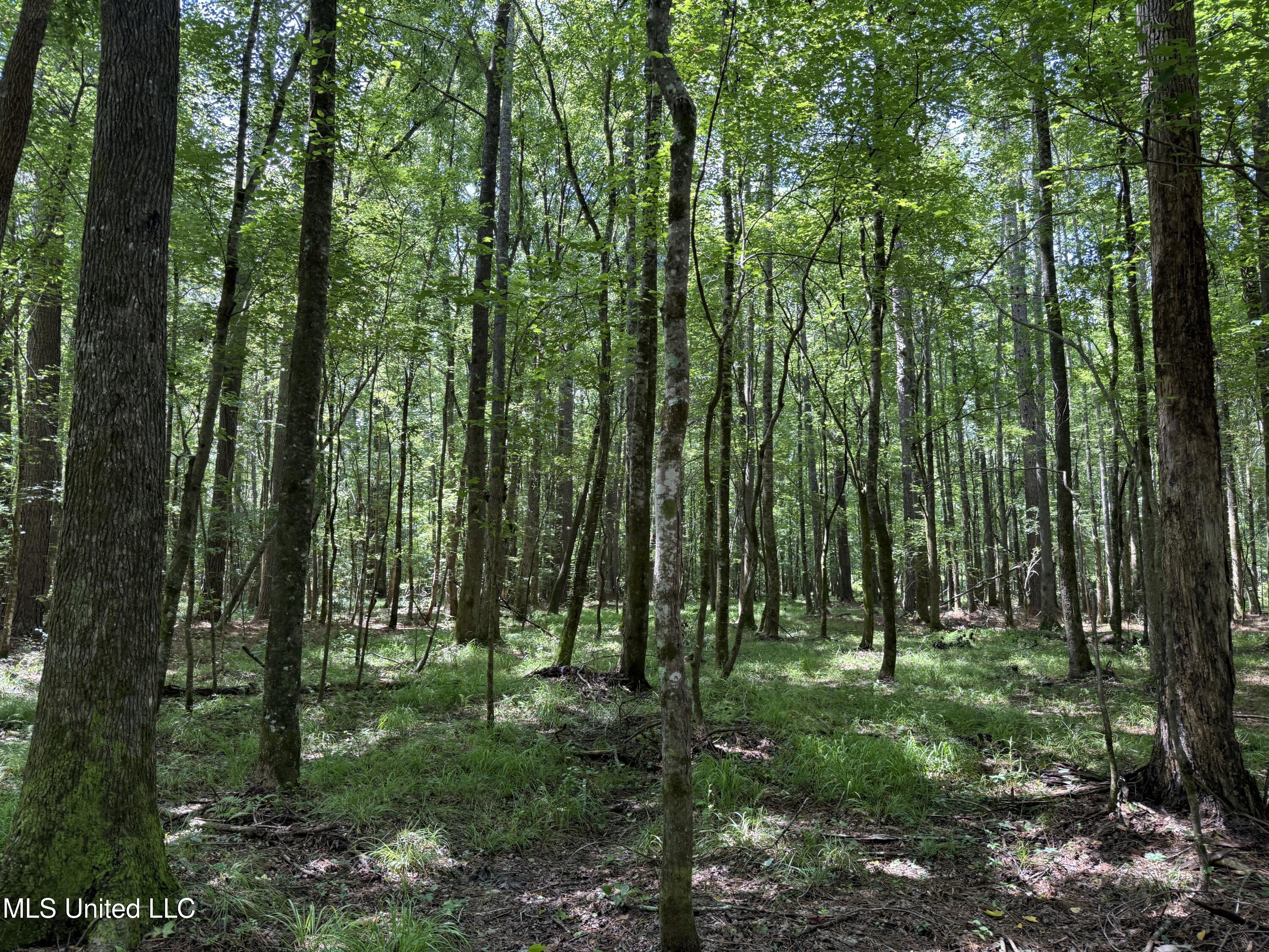 County Road 5204 Property Photo 6