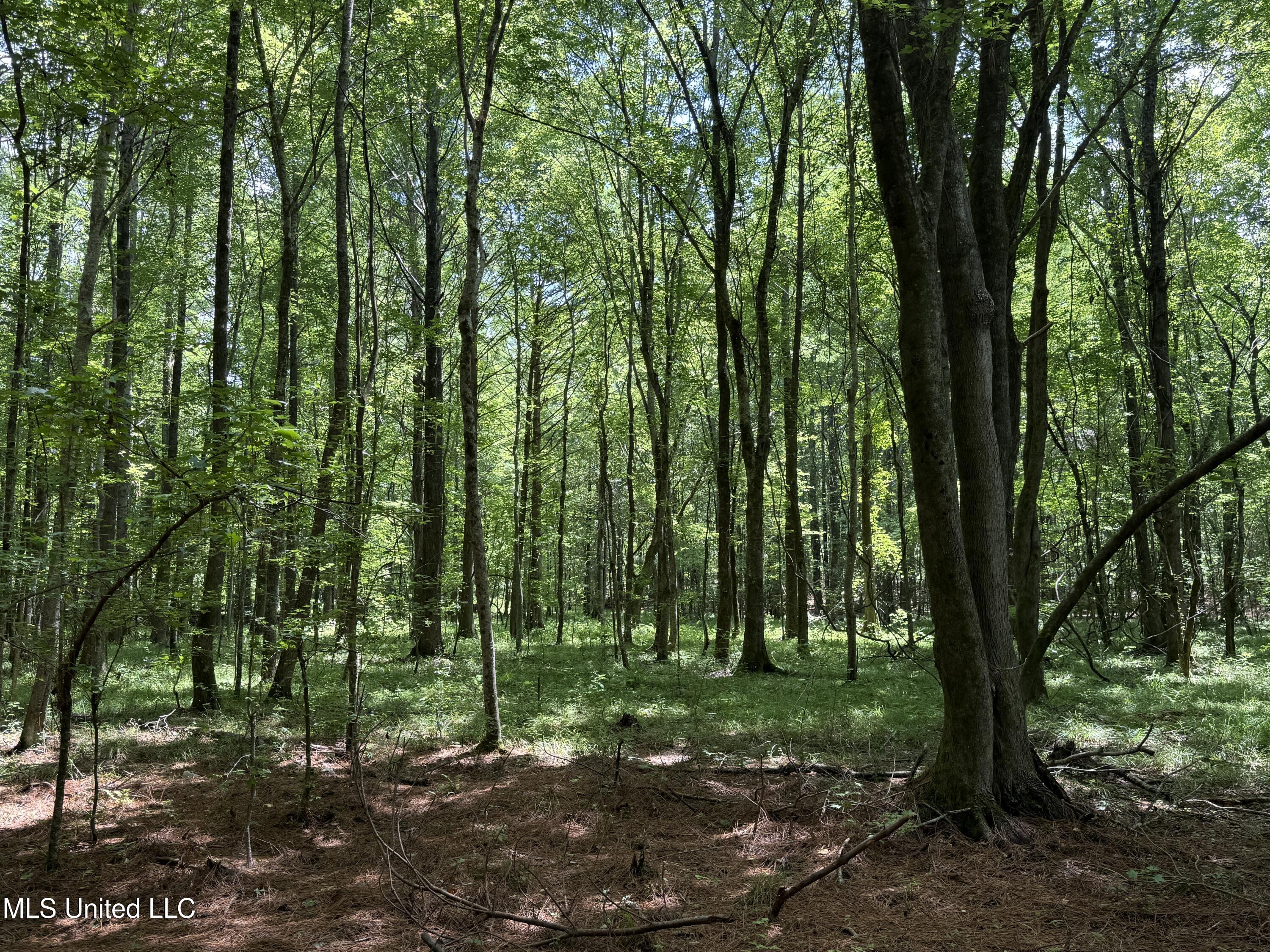 County Road 5204 Property Photo 8
