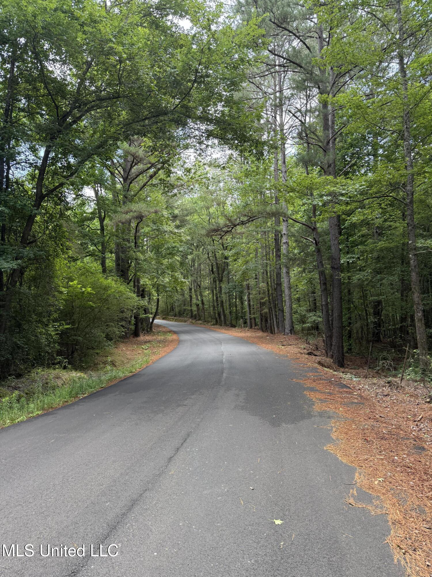 County Road 5204 Property Photo 10