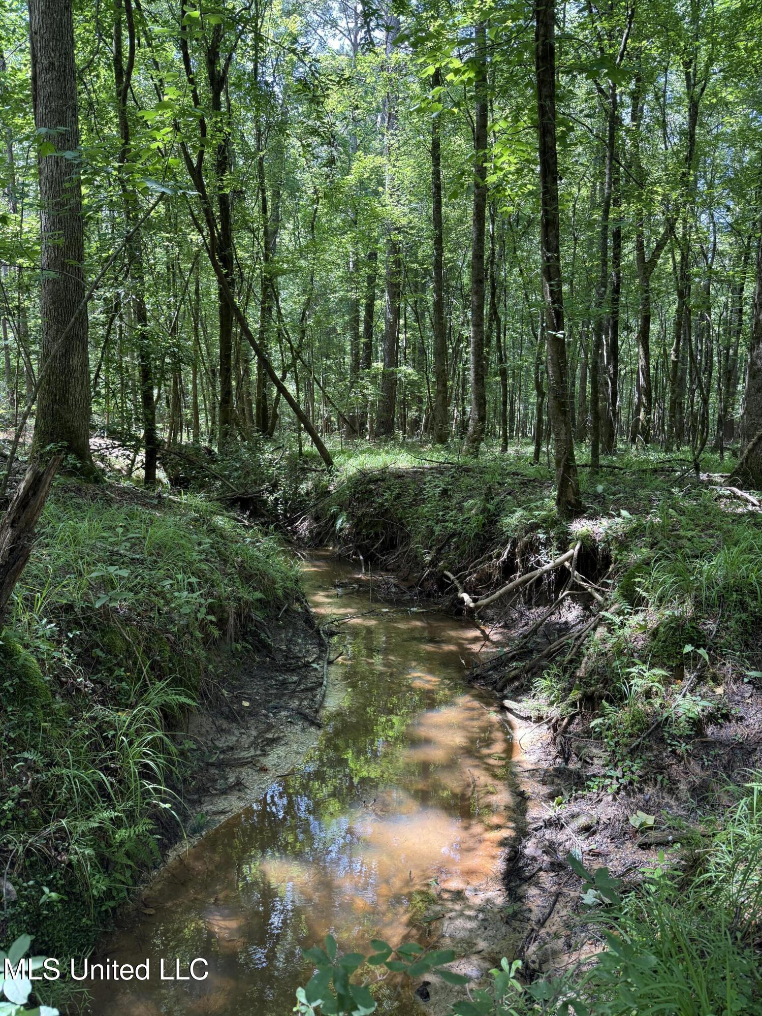 County Road 5204 Property Photo 21