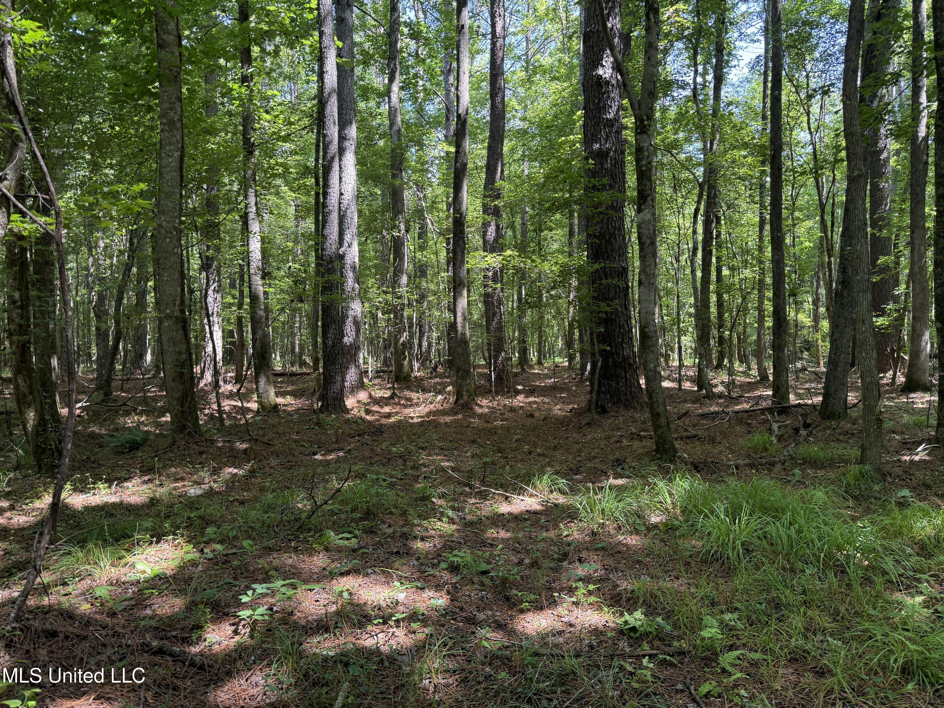 County Road 5204 Property Photo 22