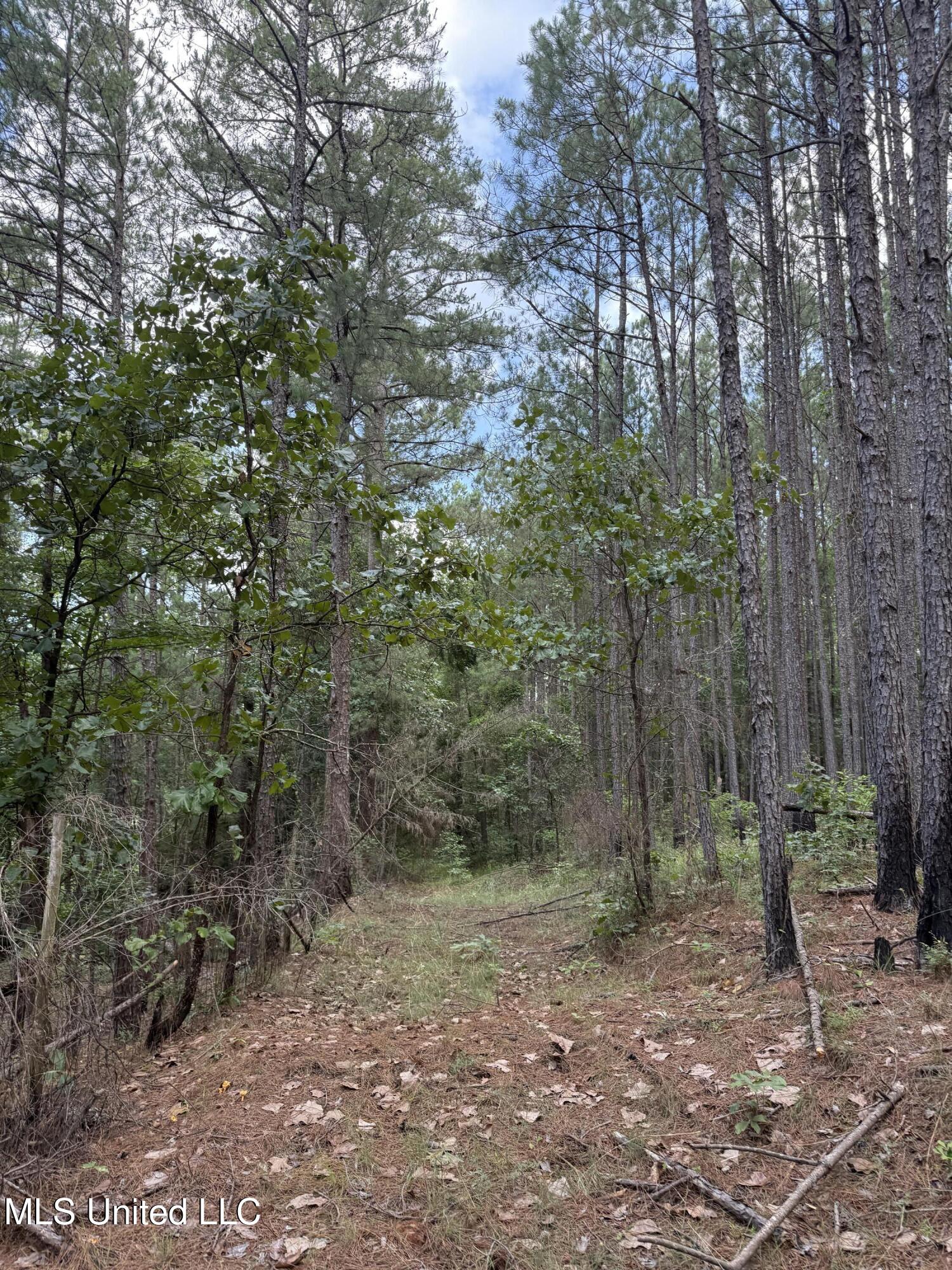County Road 5204 Property Photo 24