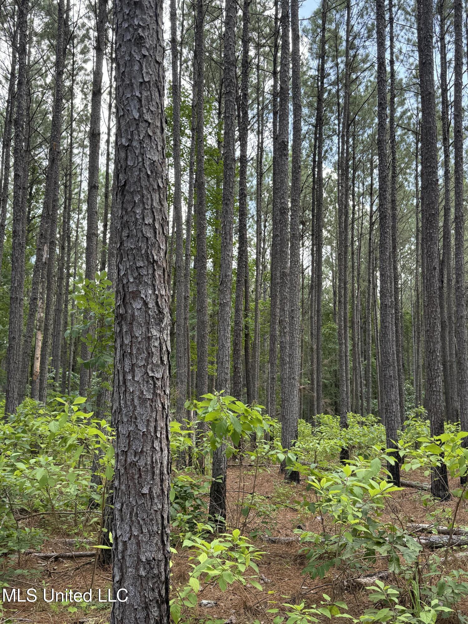County Road 5204 Property Photo 25