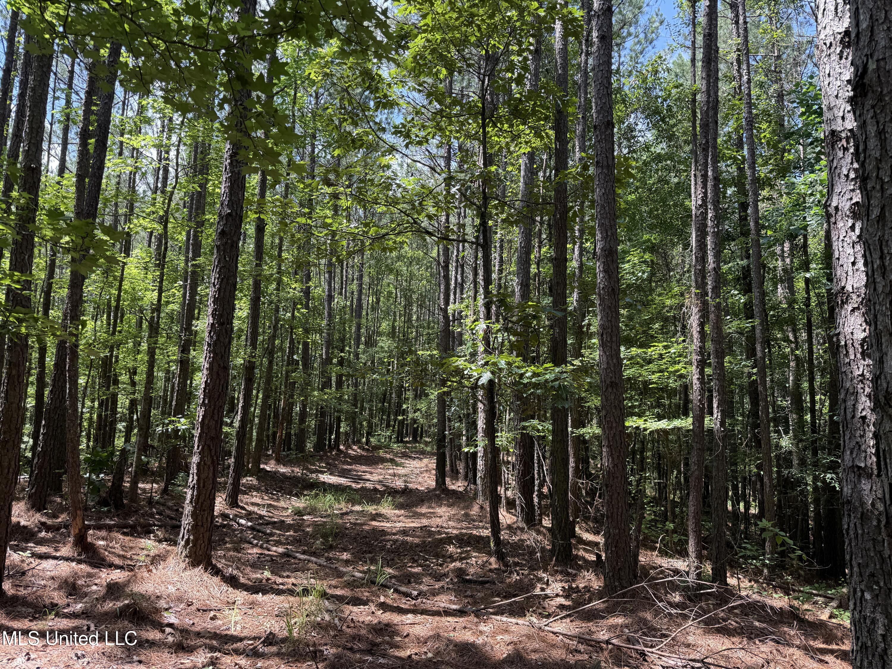 County Road 5204 Property Photo 31