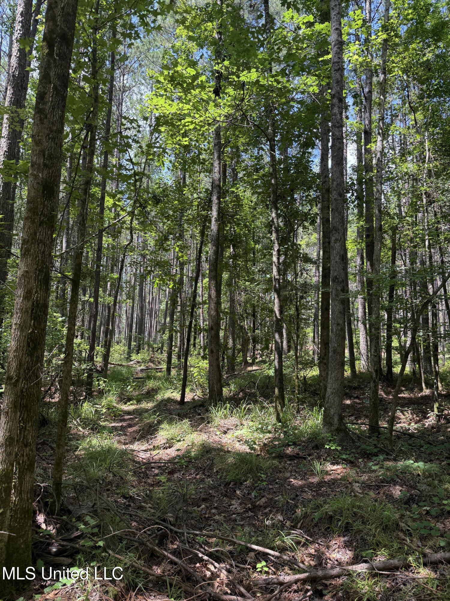 County Road 5204 Property Photo 33