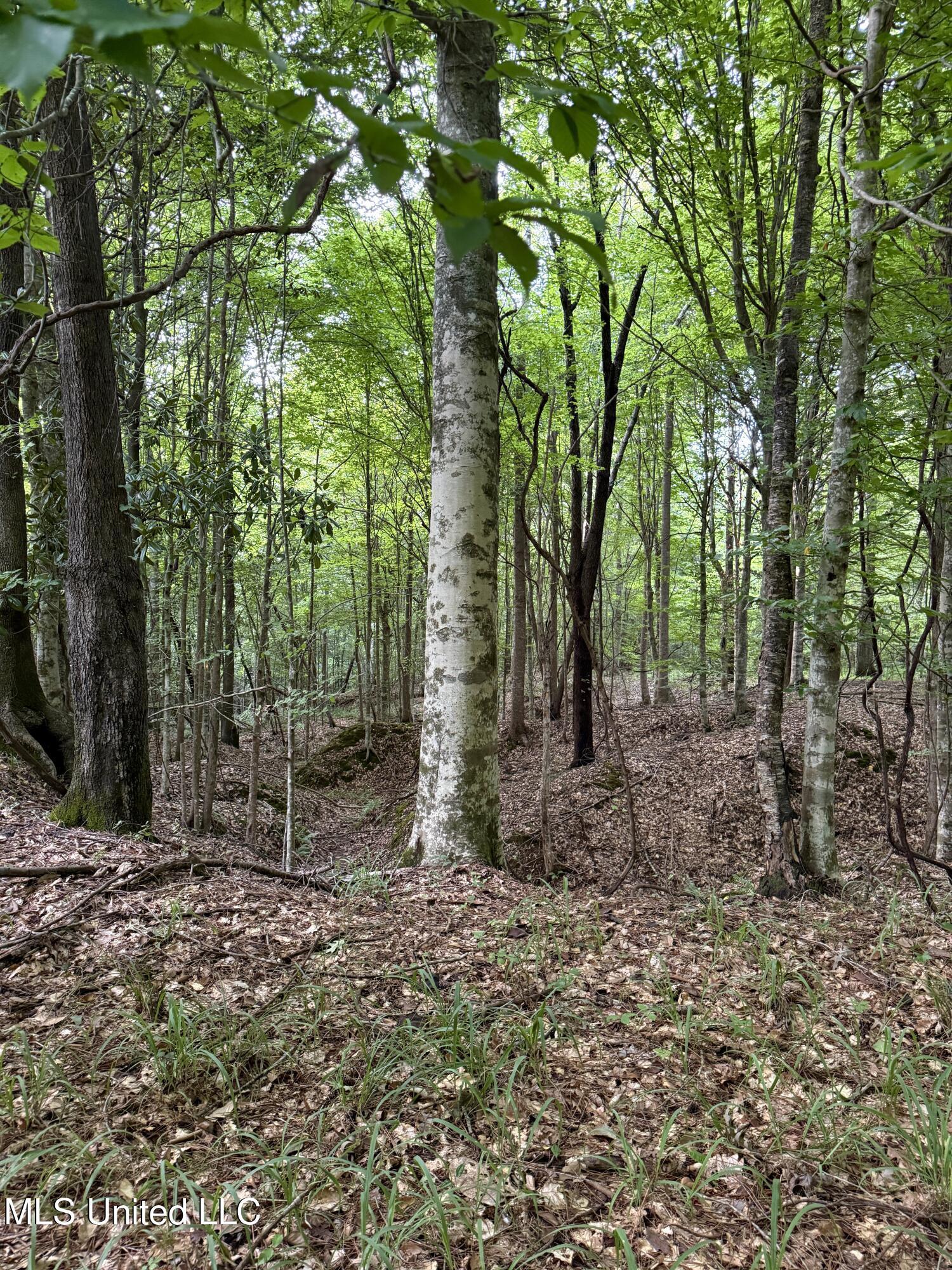 8145 Gordon Station Road Property Photo 1