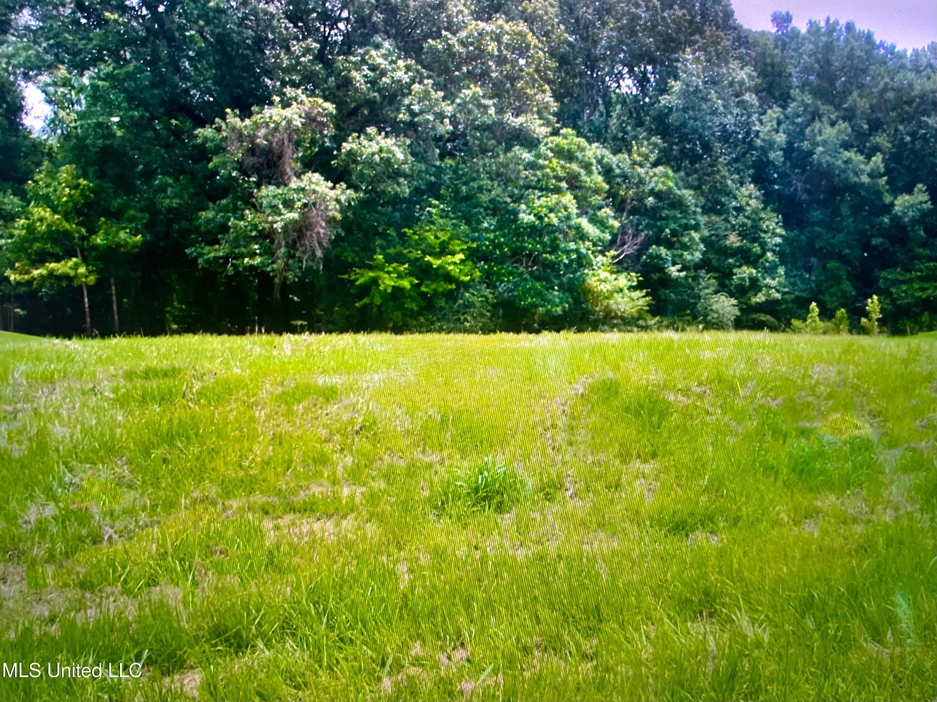 Chestnut Hill Road Property Photo 1