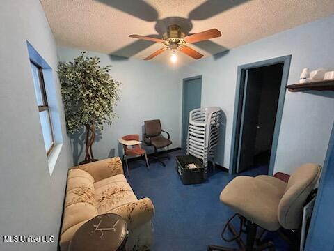 4019 Second Street Property Photo 12