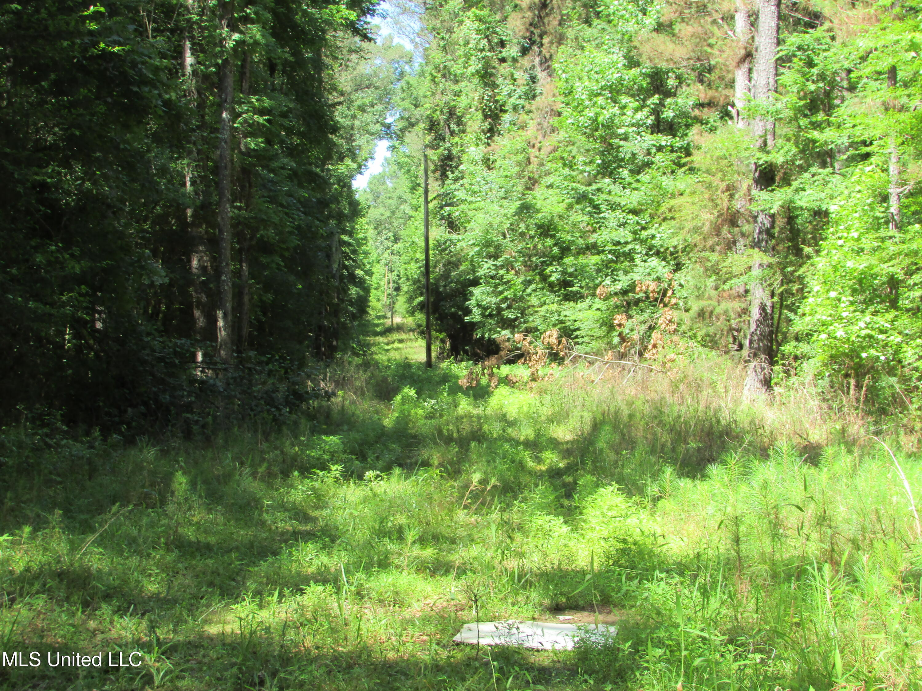 Westbrook And Bend Road Property Photo 11