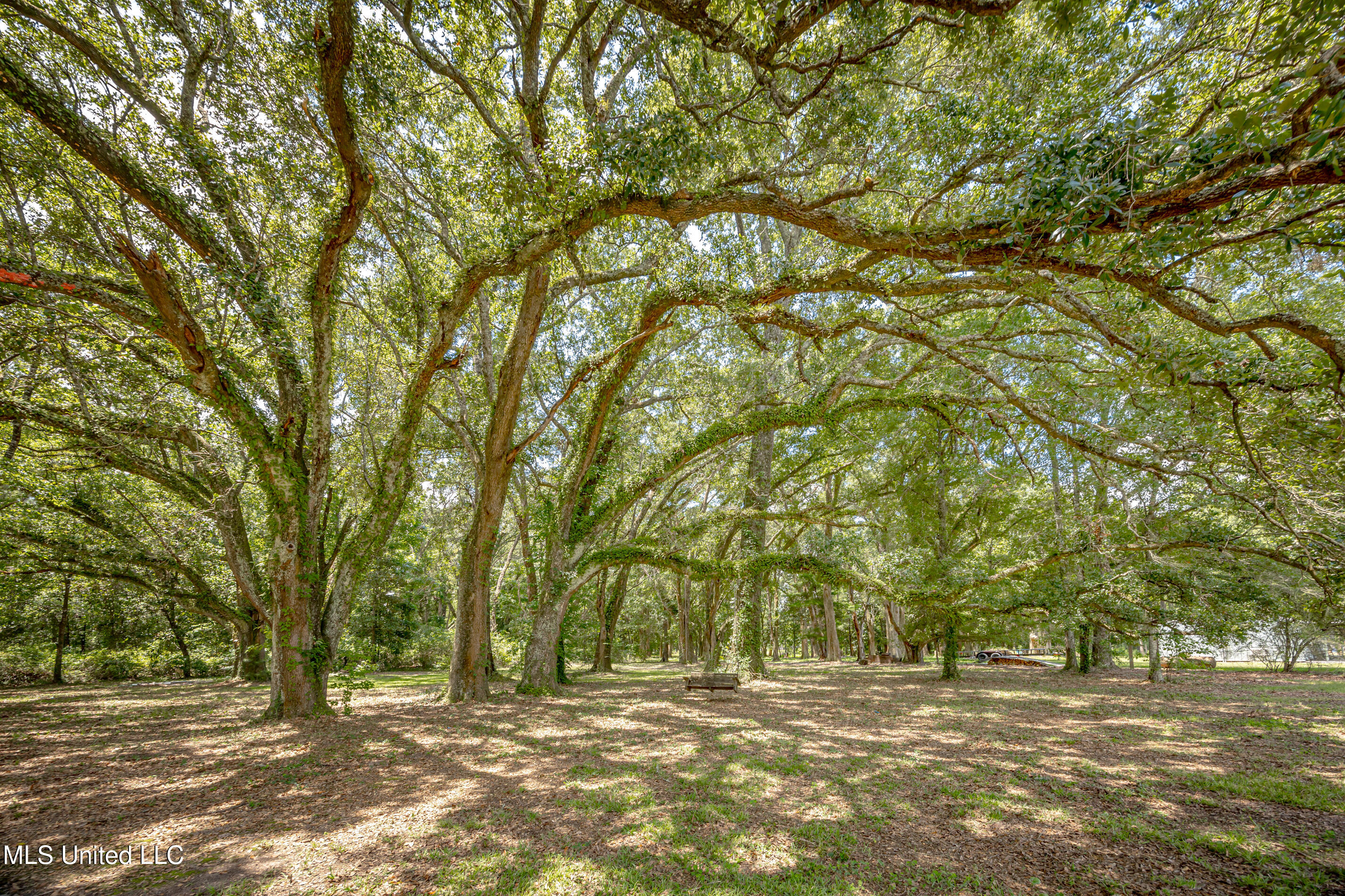 139 Archey Lane Property Photo 47