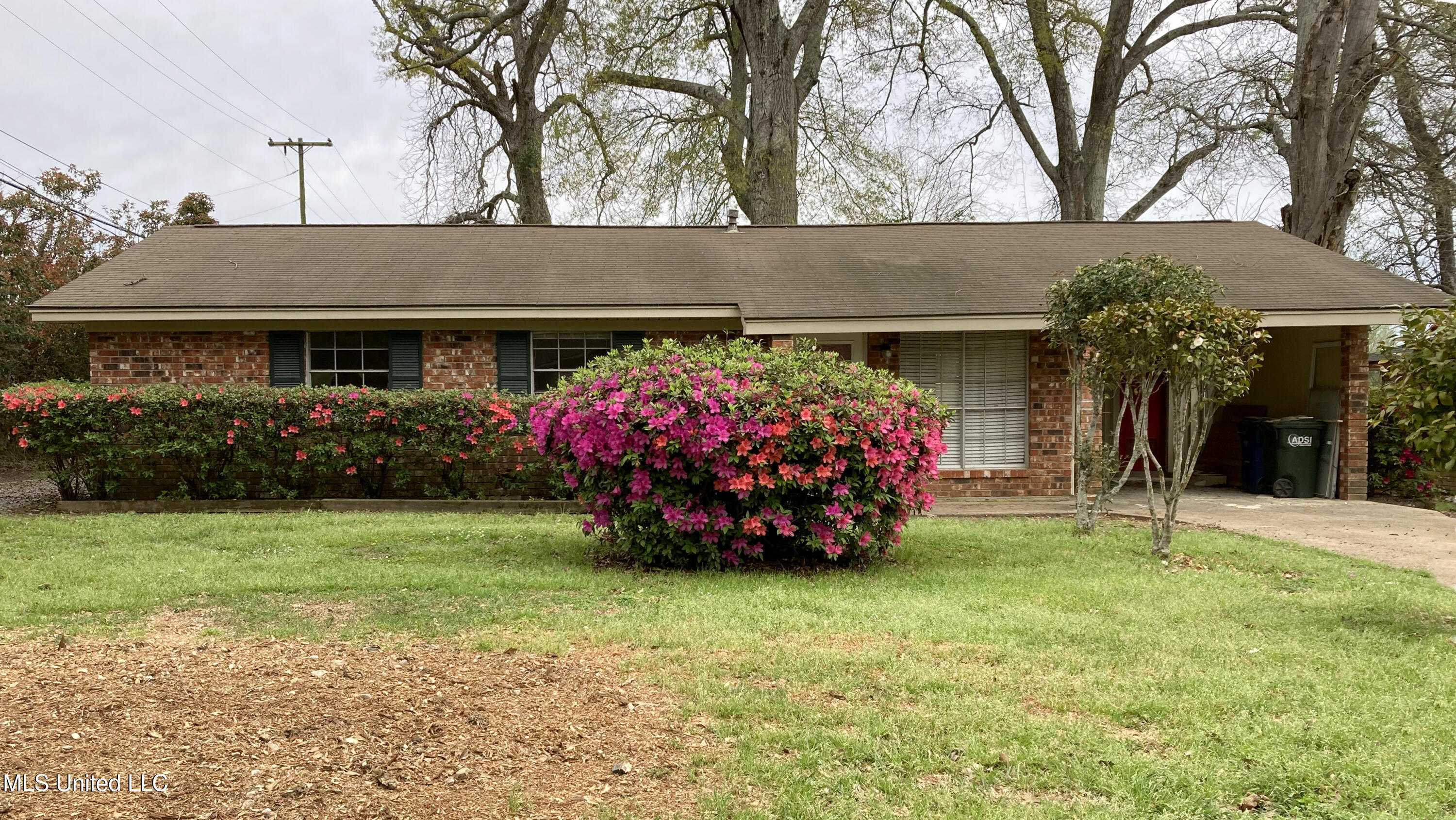 217 Oak Hill Drive Property Photo 1