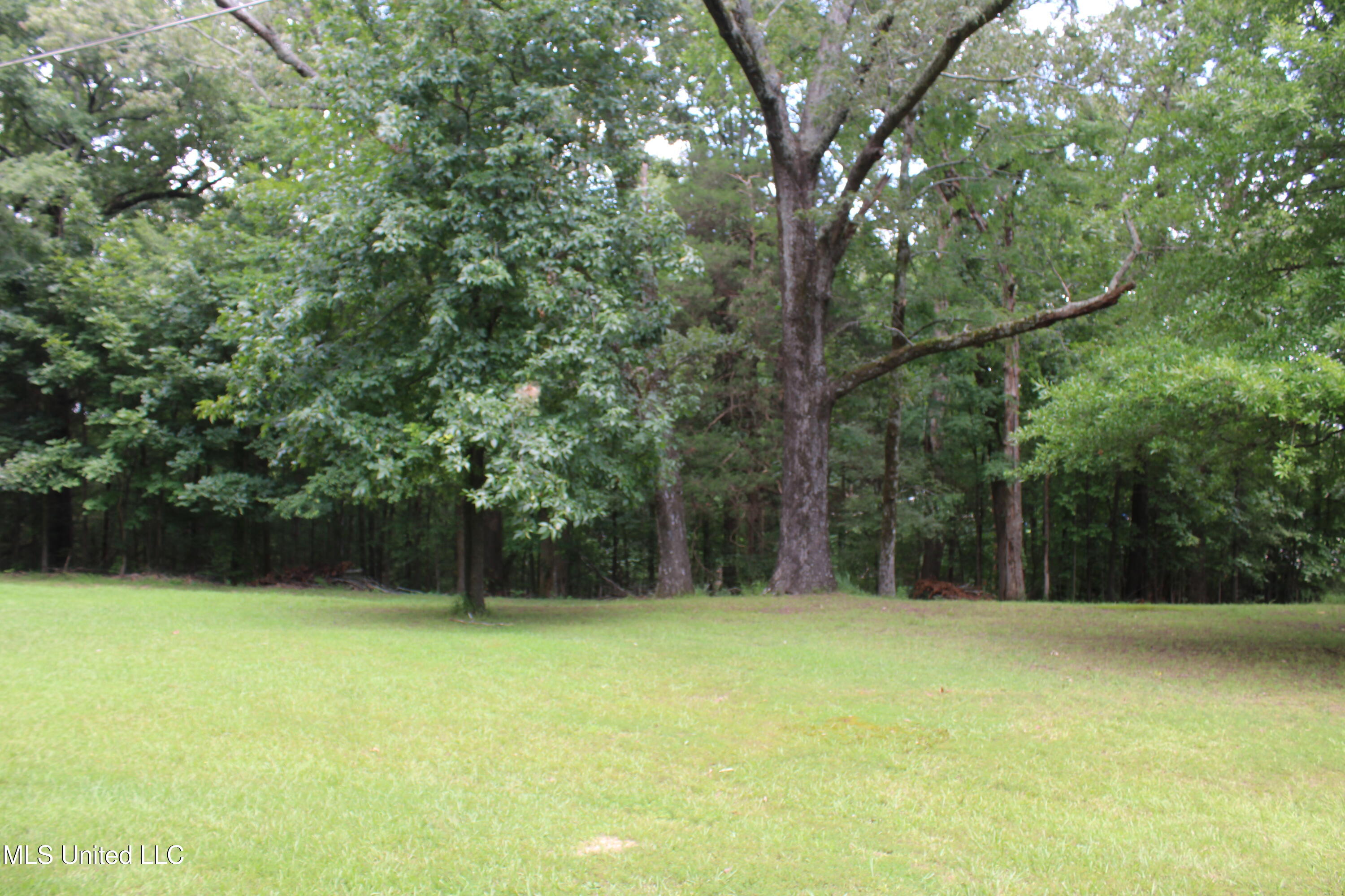 8654 Goodman Road Property Photo 5