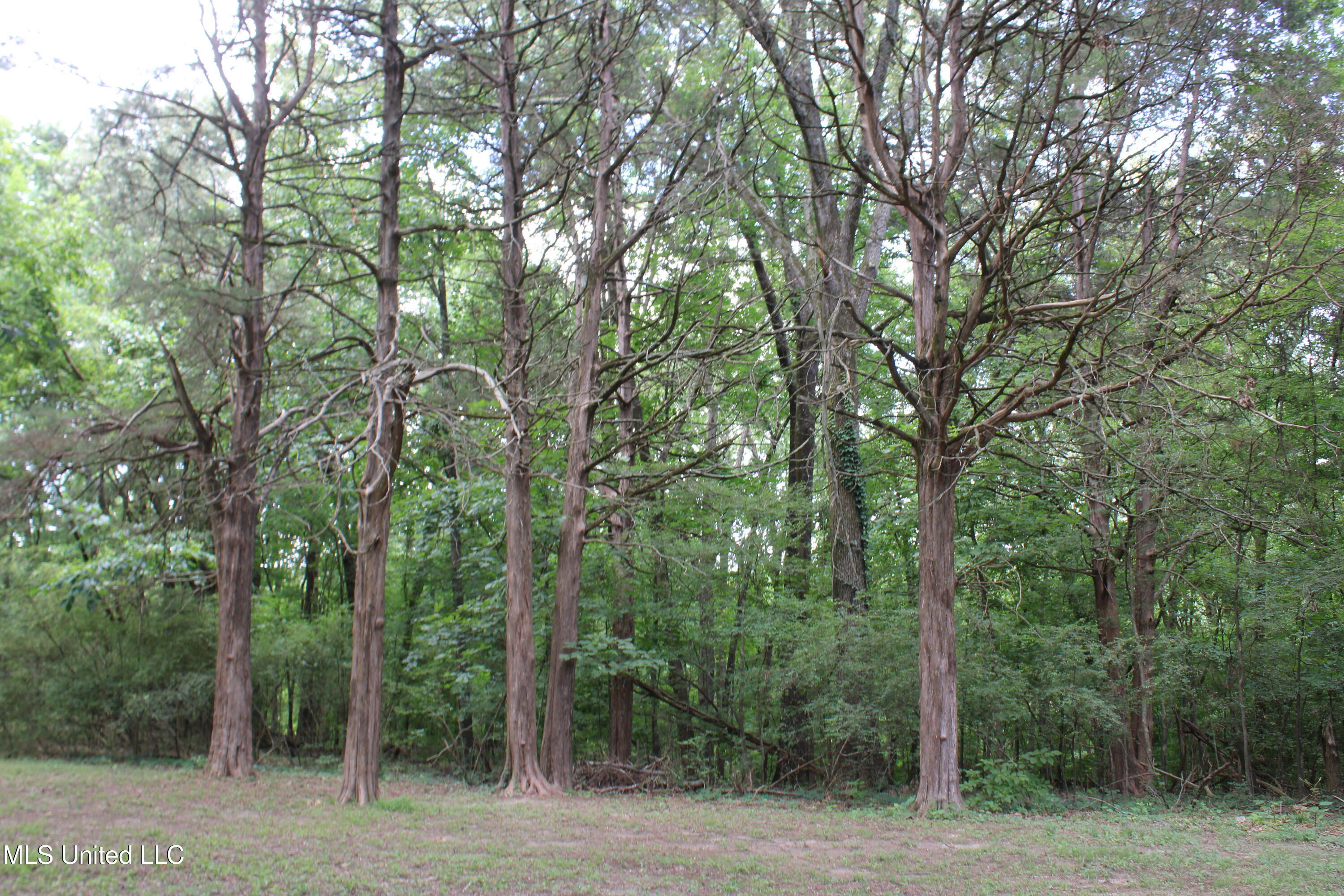 8654 Goodman Road Property Photo 7