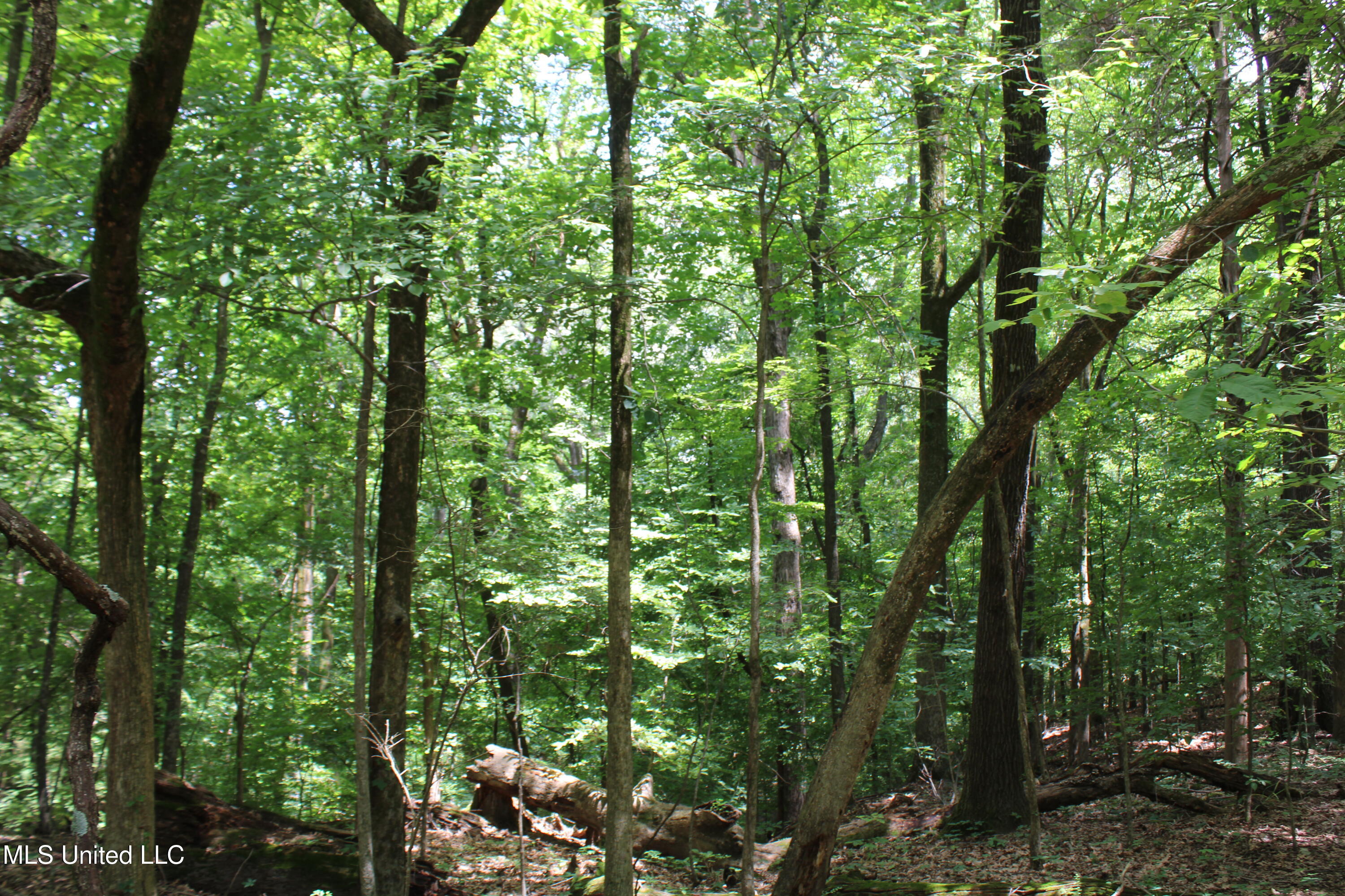 8654 Goodman Road Property Photo 8