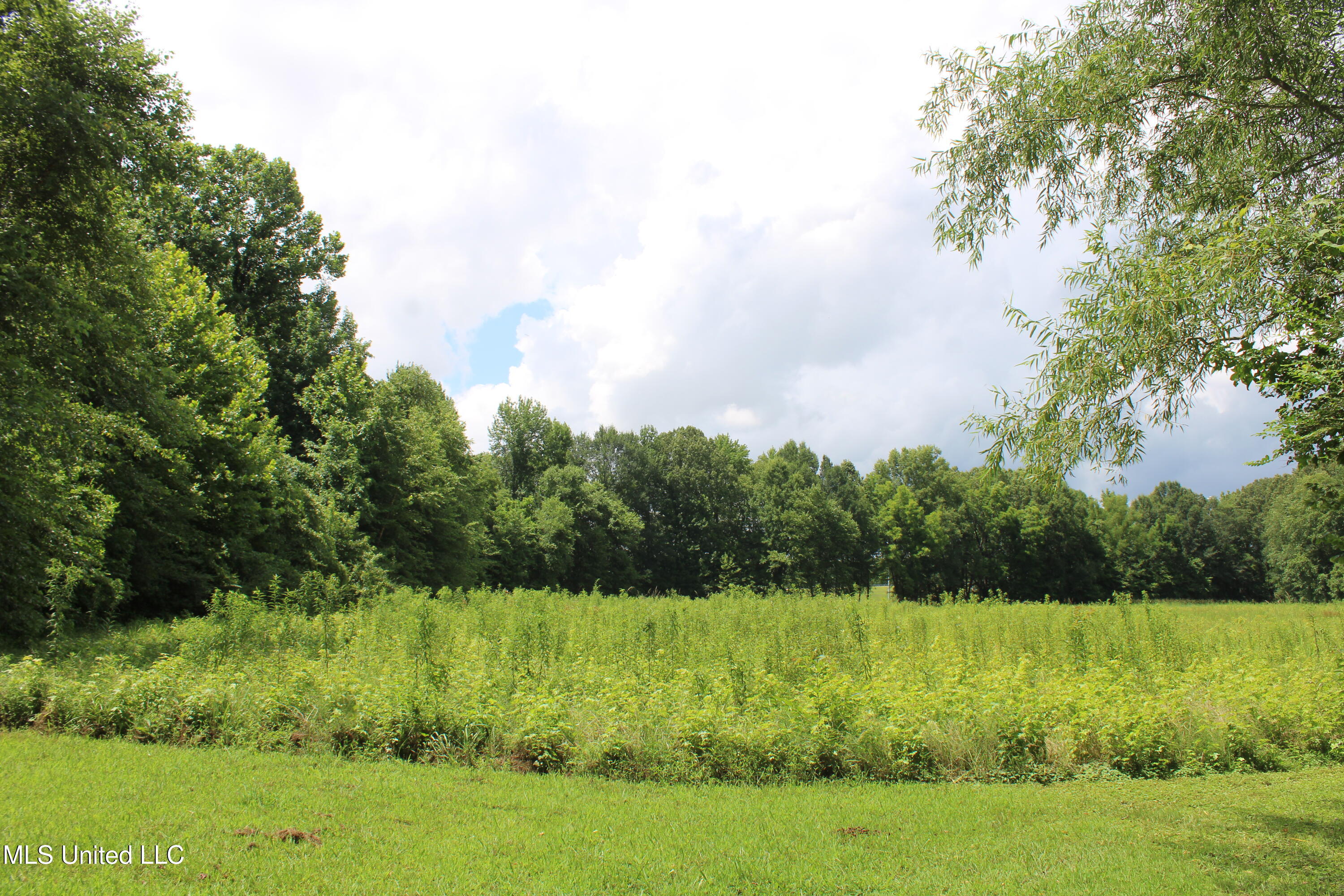 8654 Goodman Road Property Photo 13