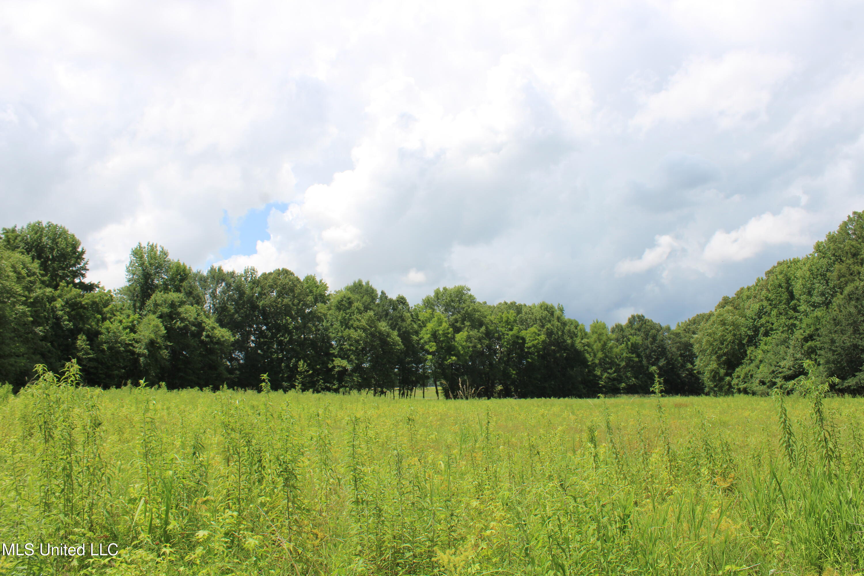 8654 Goodman Road Property Photo 14