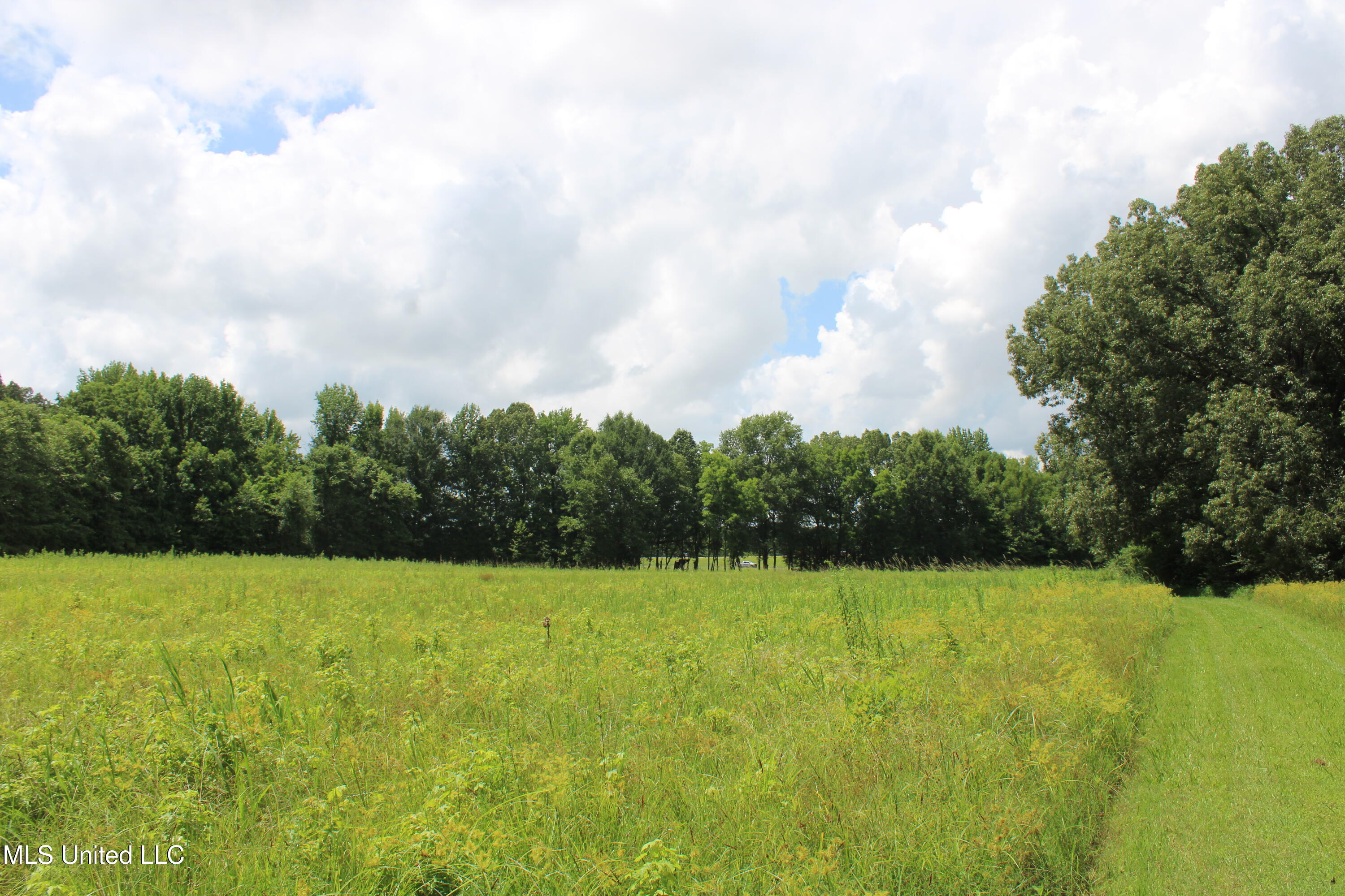 8654 Goodman Road Property Photo 15