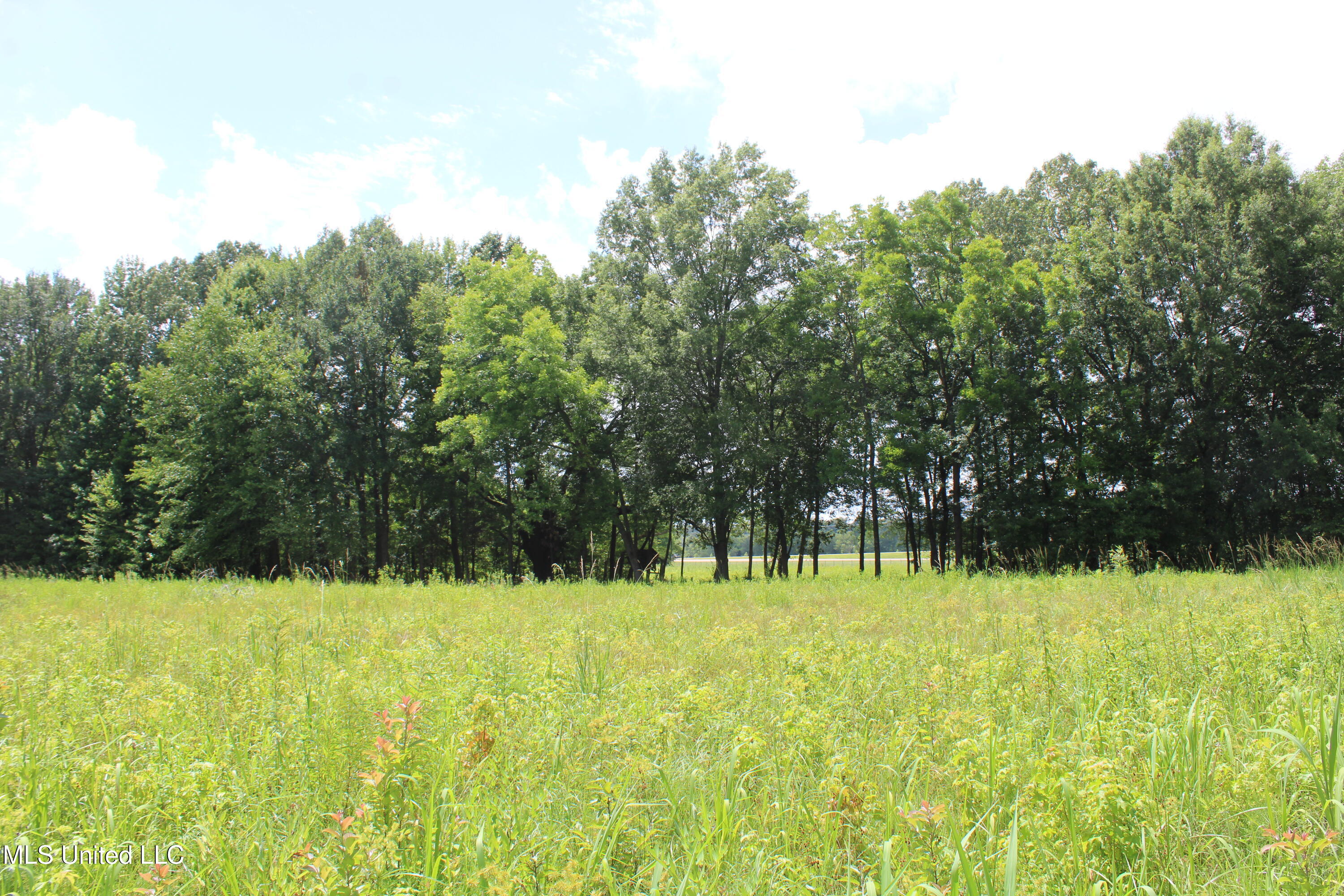 8654 Goodman Road Property Photo 16